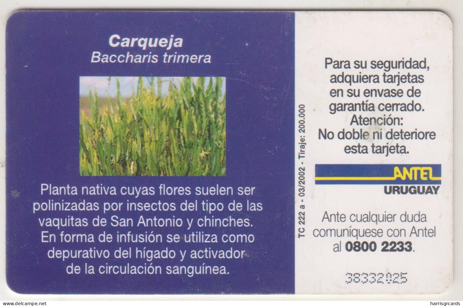 URUGUAY - Carqueja, TC 222a, 25 $ , Tirage 200.000, Used - Uruguay