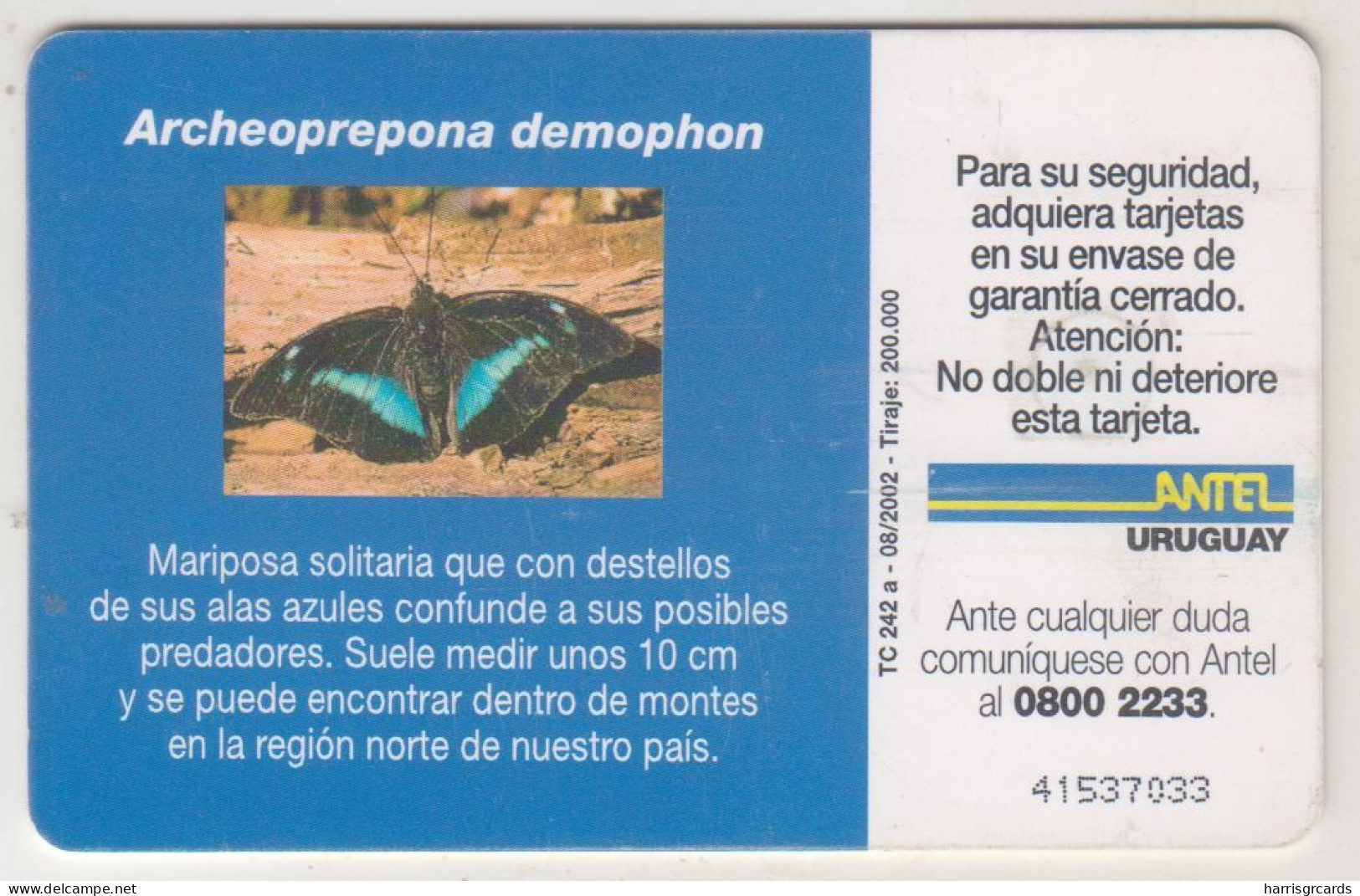URUGUAY - Archeoprepona Demophon (Butterfly), TC 242a, Chip: GEM5 (Black), 20 $ , Tirage 200.000, Used - Uruguay