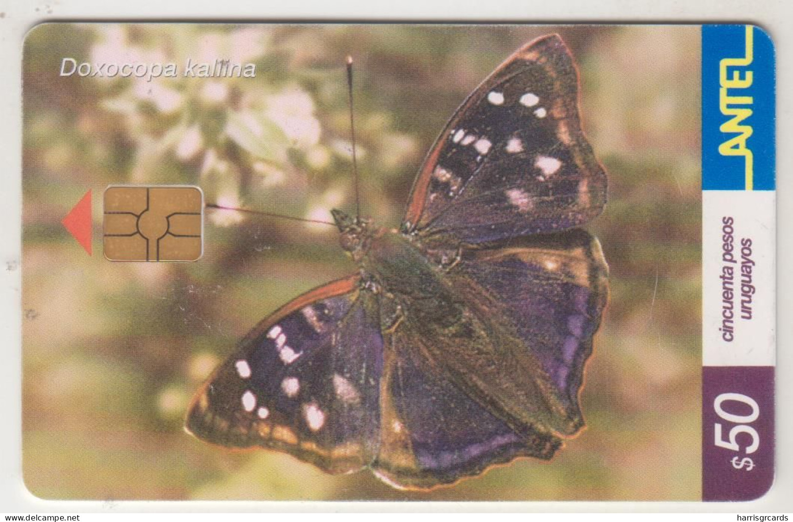 URUGUAY - Doxocopa Kallina (Butterfly), TC 244a, Chip: GEM5 (Black), 50 $ , Tirage 100.000, Used - Uruguay