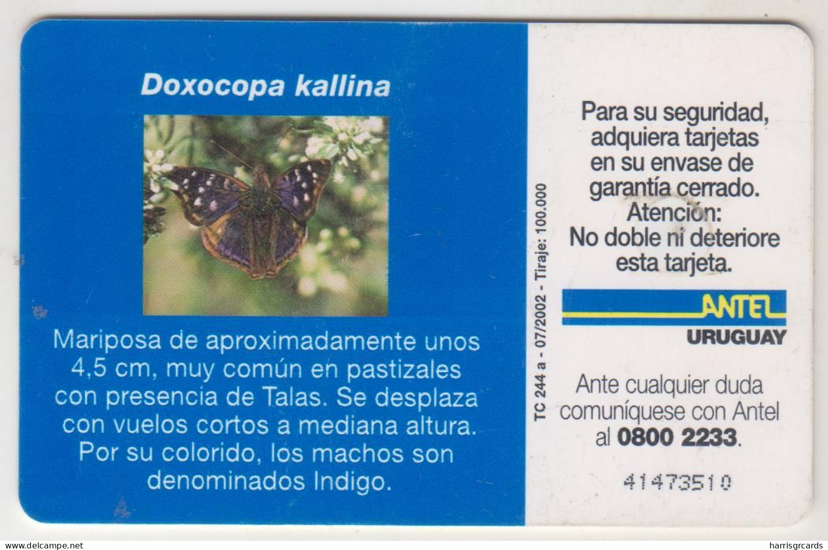 URUGUAY - Doxocopa Kallina (Butterfly), TC 244a, Chip: GEM5 (Black), 50 $ , Tirage 100.000, Used - Uruguay