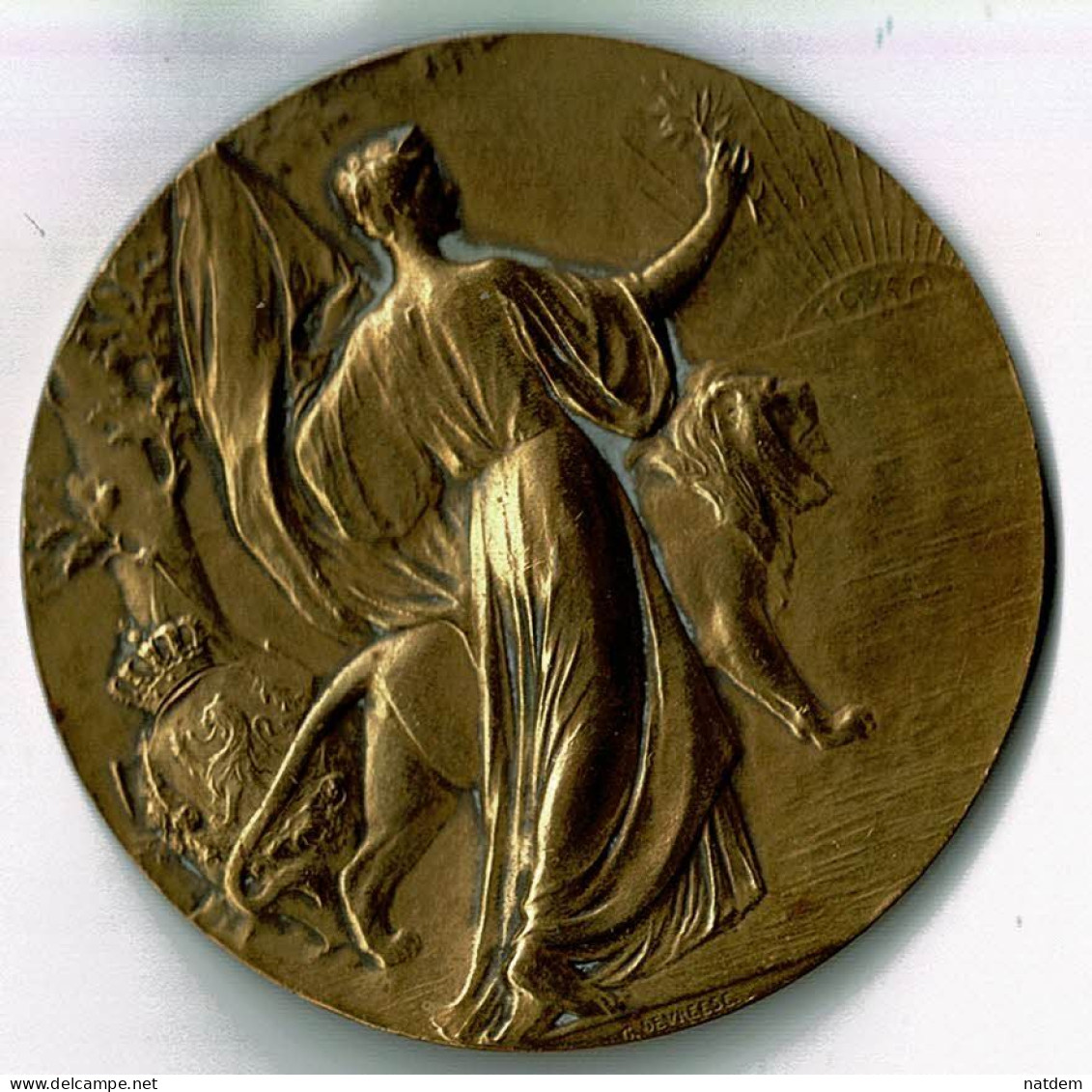 Médaille En Bronze, Souvenir LEOPOLD II , 1830-1905, Pour L'exposition De Liège (en 1905) Par Devreese - Monarchia / Nobiltà