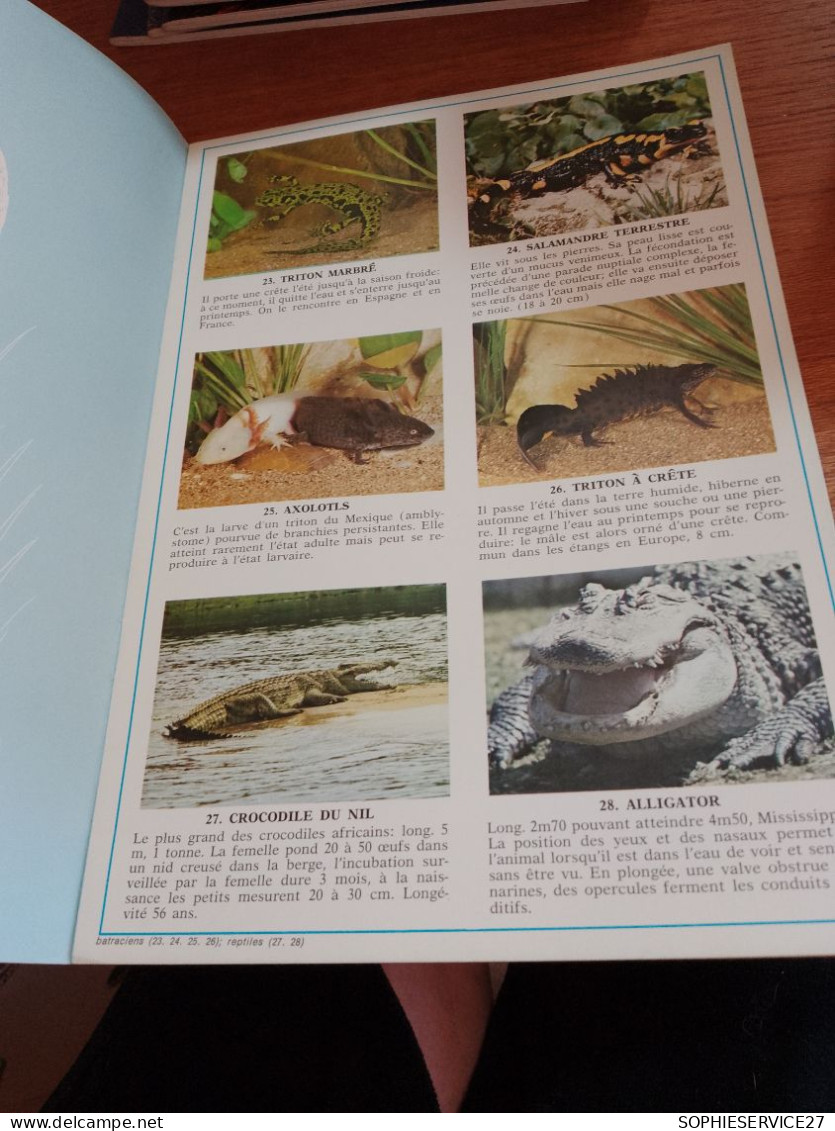 146 // DOCUMENTATION SCOLAIRE  / IMAGES ENCYCLOPEDIE / "reptiles Et Batraciens"   / 1975 / 15 PAGES - Sciences