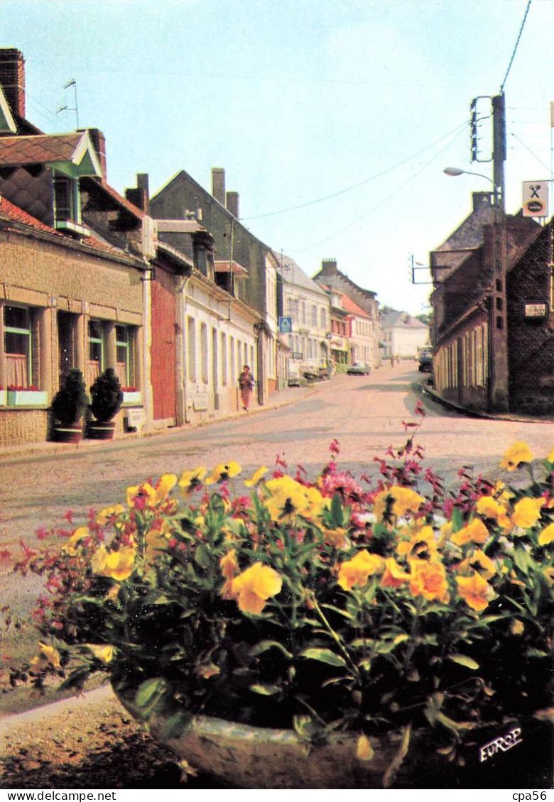 AVESNES LE COMTE - Grande Rue - Pierron N°2800 - VENTE DIRECTE X - Avesnes Le Comte