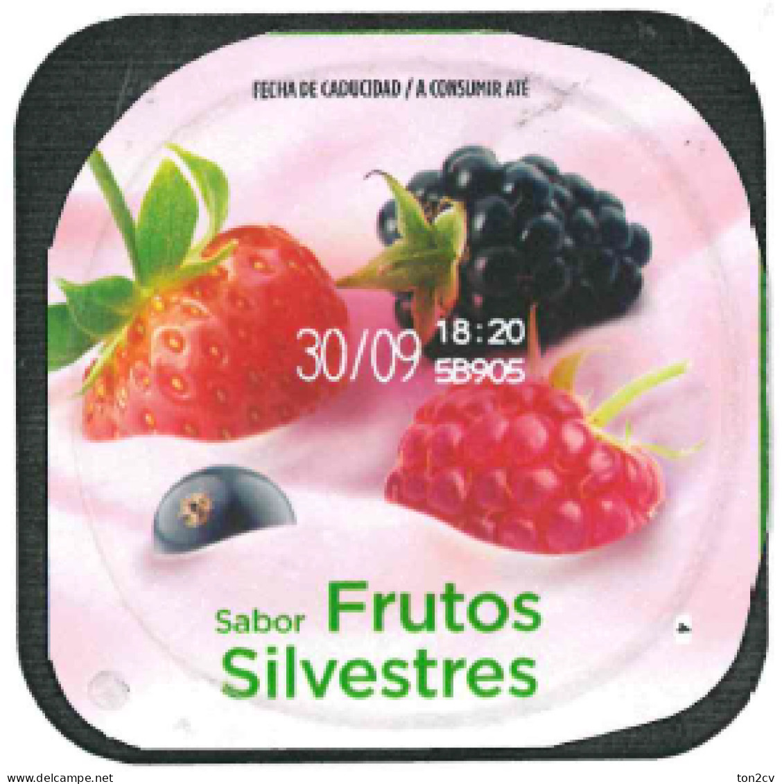 Tapa De Yogurt - Opercules De Lait