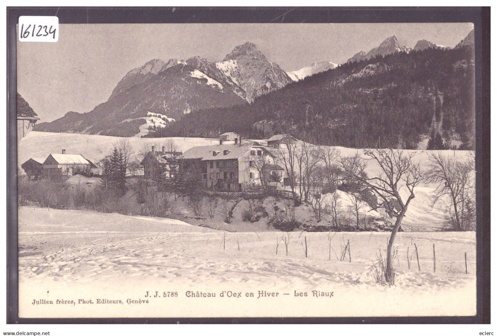 DISTRICT DU PAYS D'ENHAUT - CHATEAU D'OEX - LES RIAUX - TB - Château-d'Œx