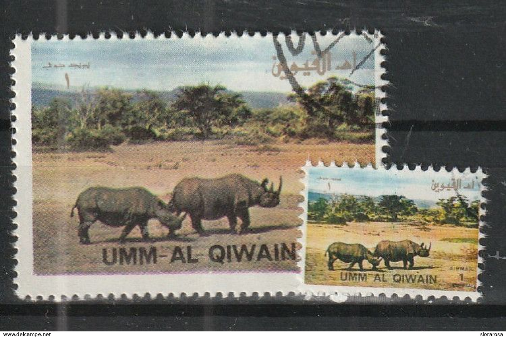 Umm Al Qiwain 1972 Animali Selvaggi - Wild Animals - Black Rhinoceros (Diceros Bicornis) And Ministamp CTO - Rinocerontes