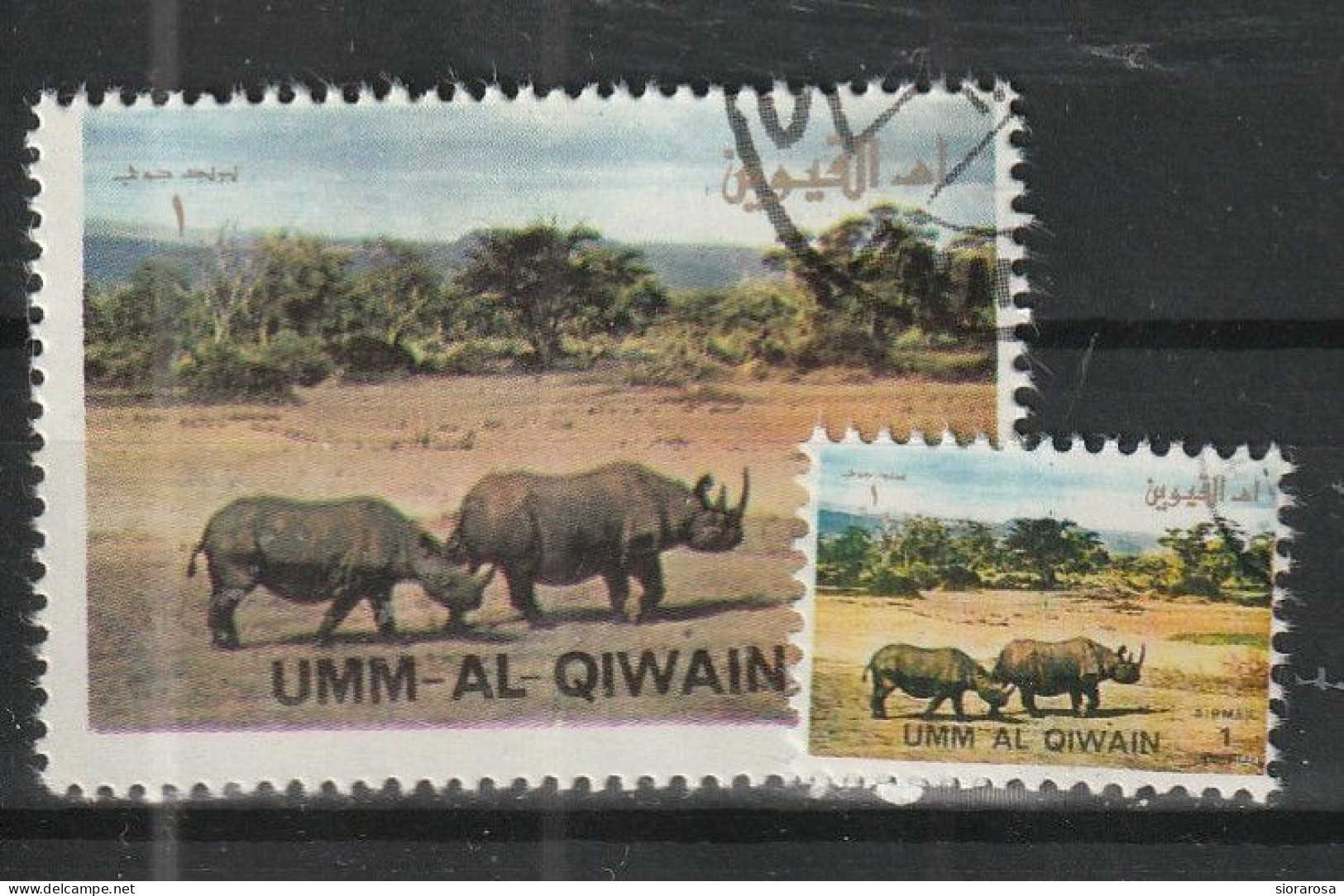 Umm Al Qiwain 1972 Animali Selvaggi - Wild Animals - Black Rhinoceros (Diceros Bicornis) And Ministamp CTO - Rhinozerosse