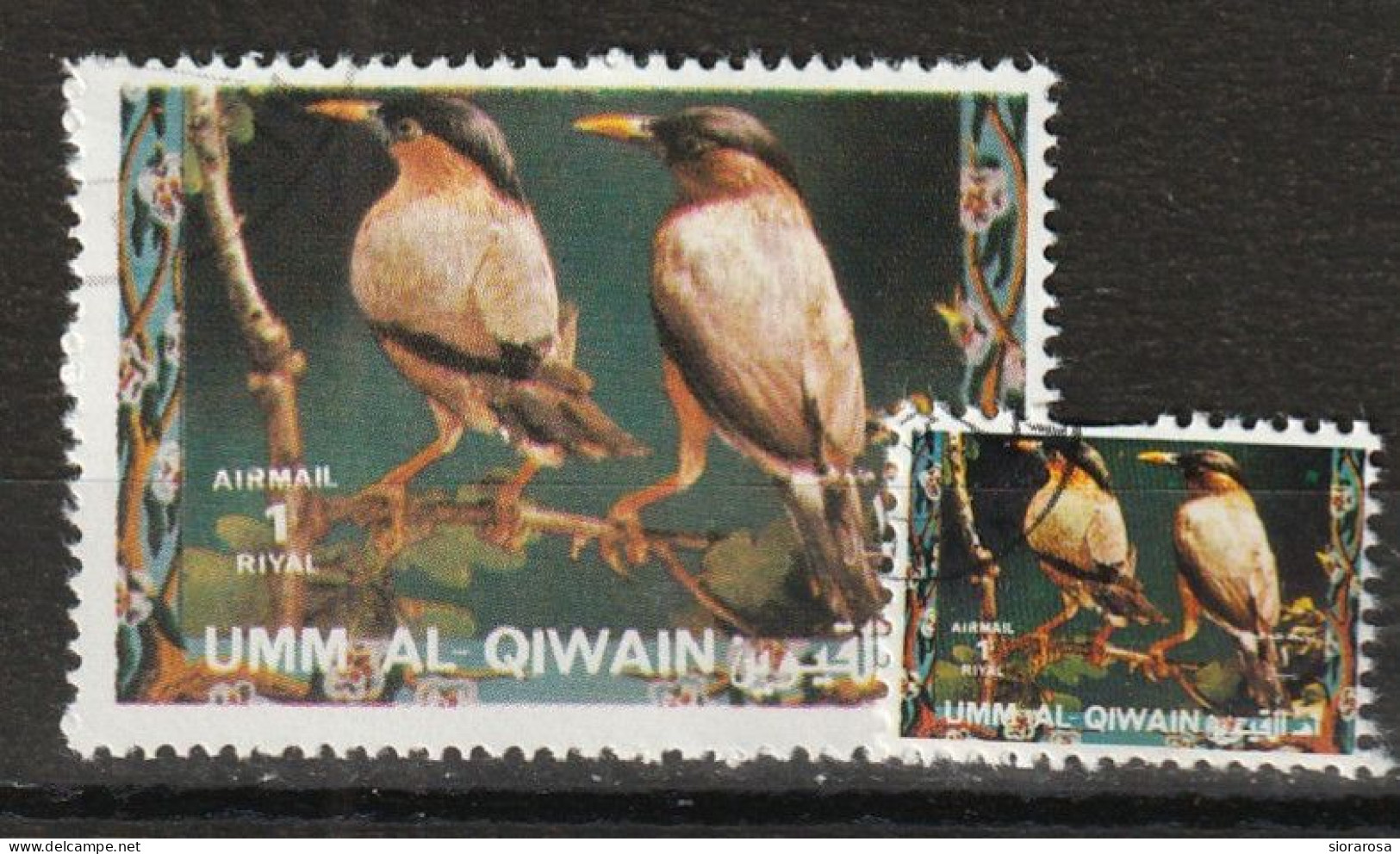 Umm Al Qiwain 1972 Animali Selvaggi - Wild Animals - Brahminy Starling (Sturnia Pagodarum) And Ministamp CTO - Sparrows