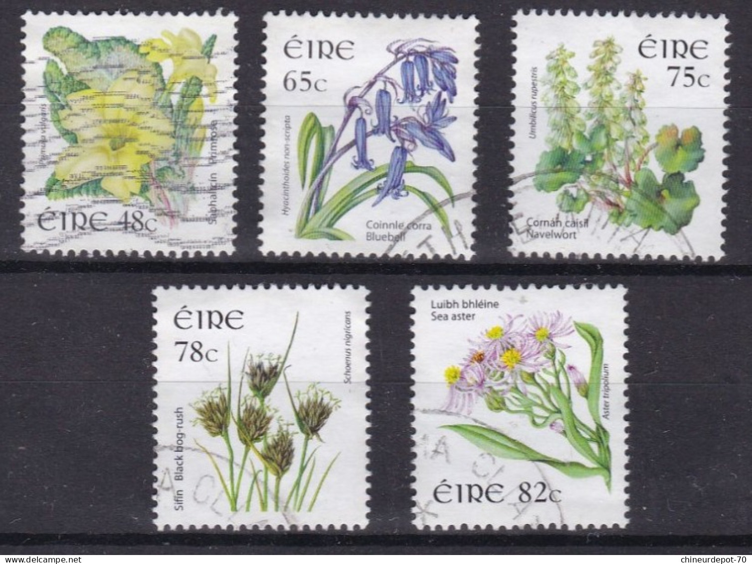 Fleurs Flowers Eire Irlande - Used Stamps
