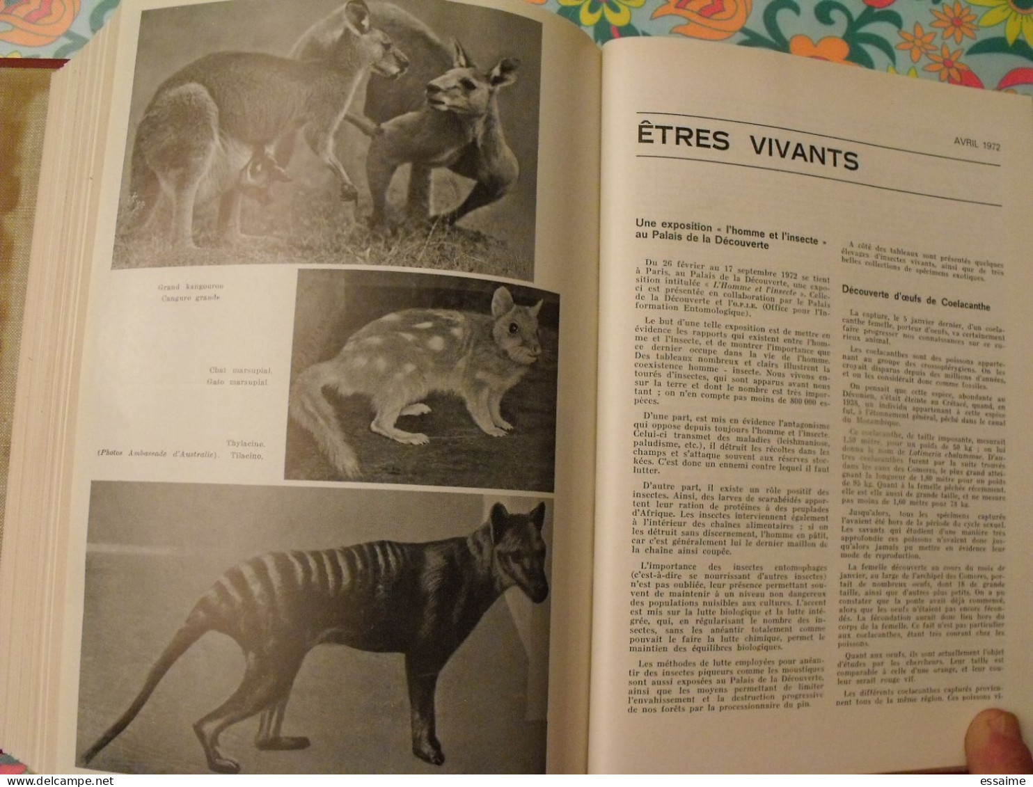 Encyclopédie Clartés. Etres Vivants. Végétaux Et Animaux. 1976. Très Illustré - Encyclopédies