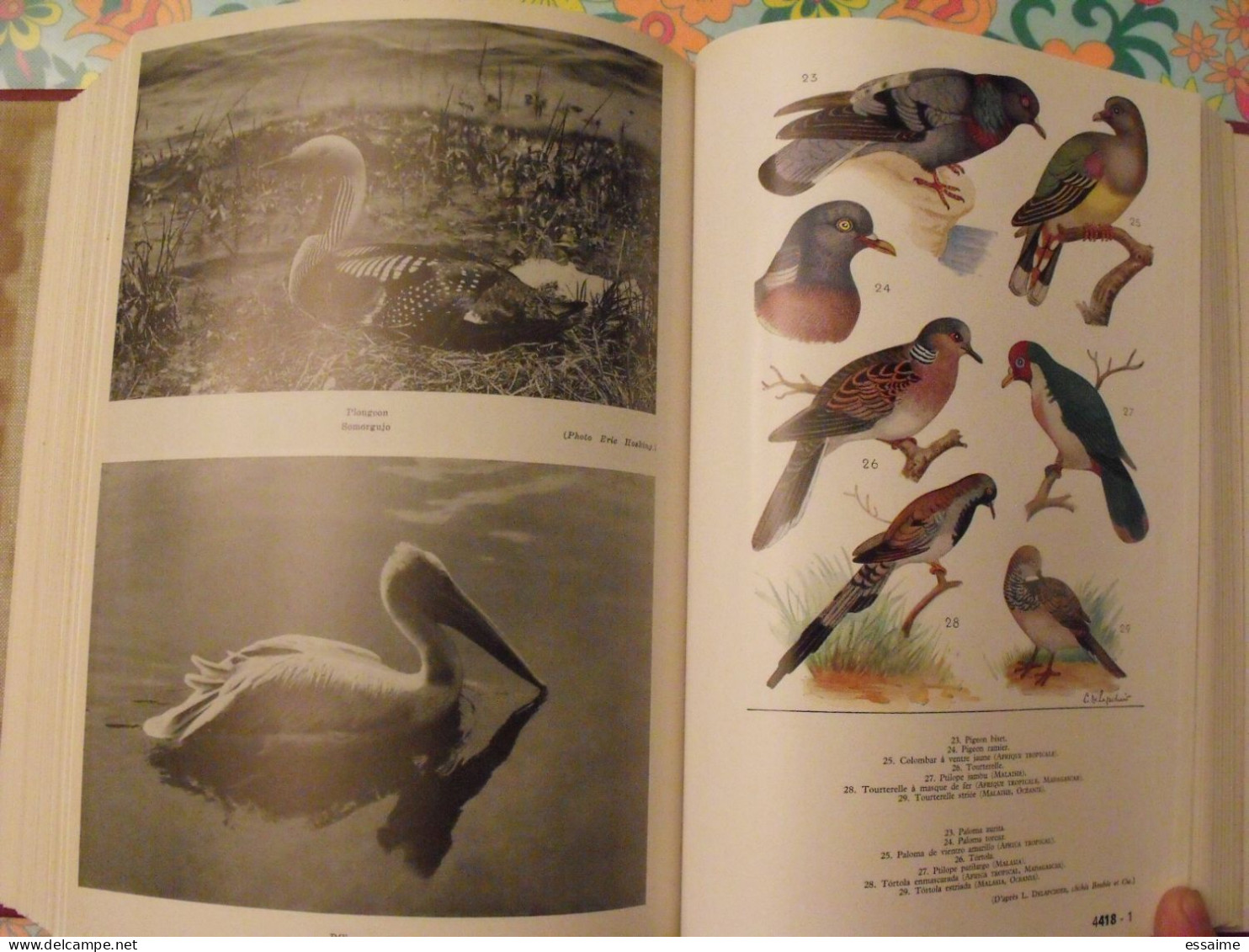 encyclopédie Clartés. Etres vivants. végétaux et animaux. 1976. très illustré