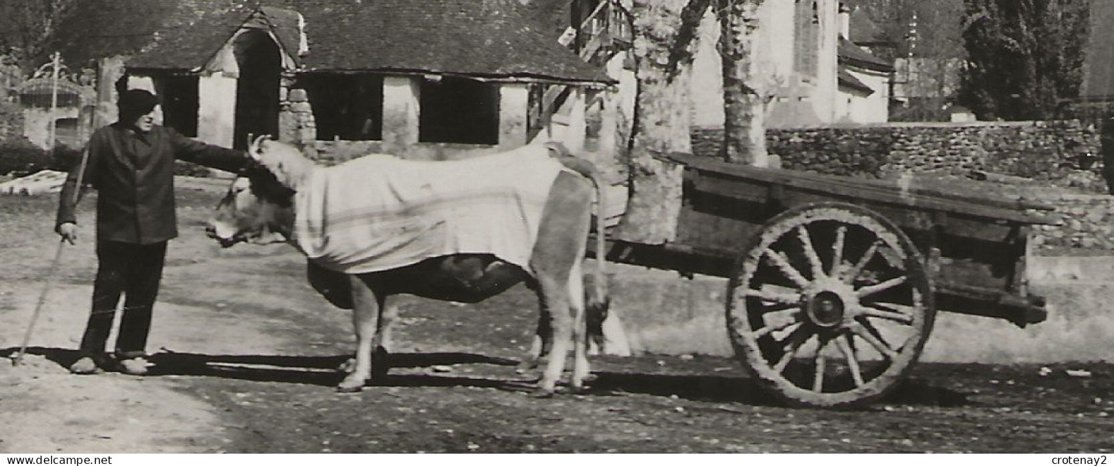 64 GOTEIN Vers Mauléon Eglise Basque Du XIIIème Siècle N°1906 Bel Attelage De Boeufs Fronton De Pelote ? VOIR DOS - Mauleon Licharre