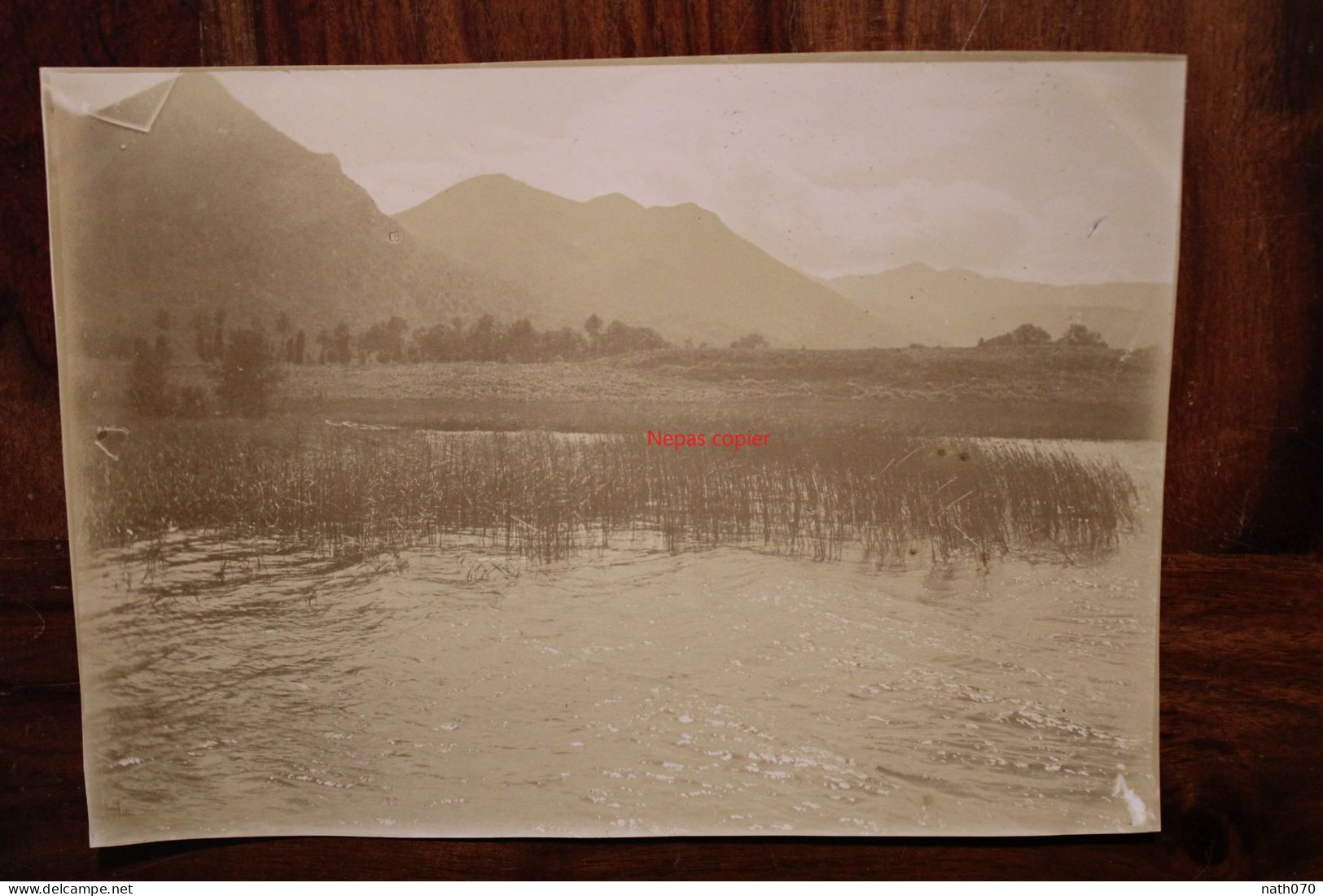 Photo 1900's Lourdes Le Lac Tirage Albuminé Albumen Print Vintage - Lieux
