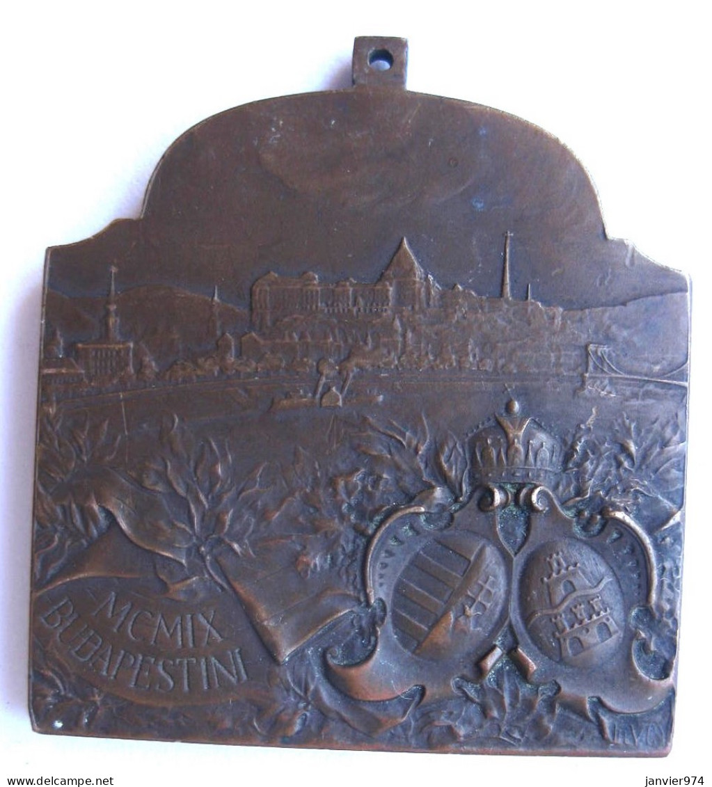 Hongrie Médaille En Bronze Congrès Médical International 1909 Budapest  - Sonstige & Ohne Zuordnung