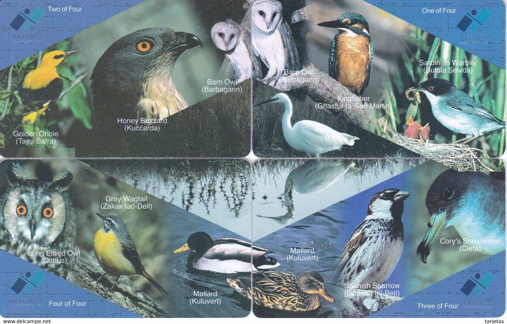 PUZZLE DE 4 TARJETAS DE MALTA DE PAJAROS (BIRD-PAJARO-OWL-CHOUETTE-BUHO) - Malte