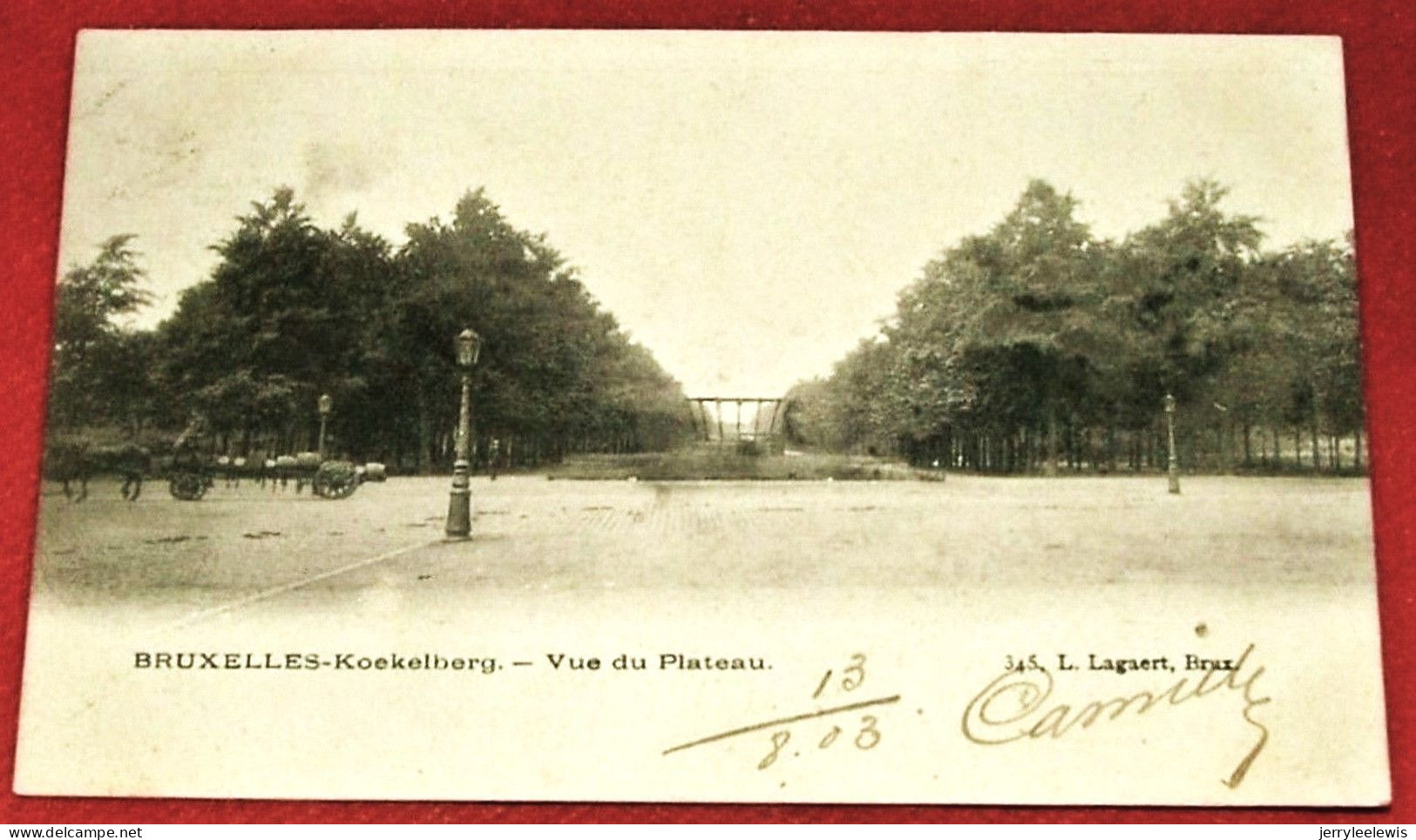 BRUXELLES -  KOEKELBERG  -  Vue Du Plateau  -  1903  - - Koekelberg