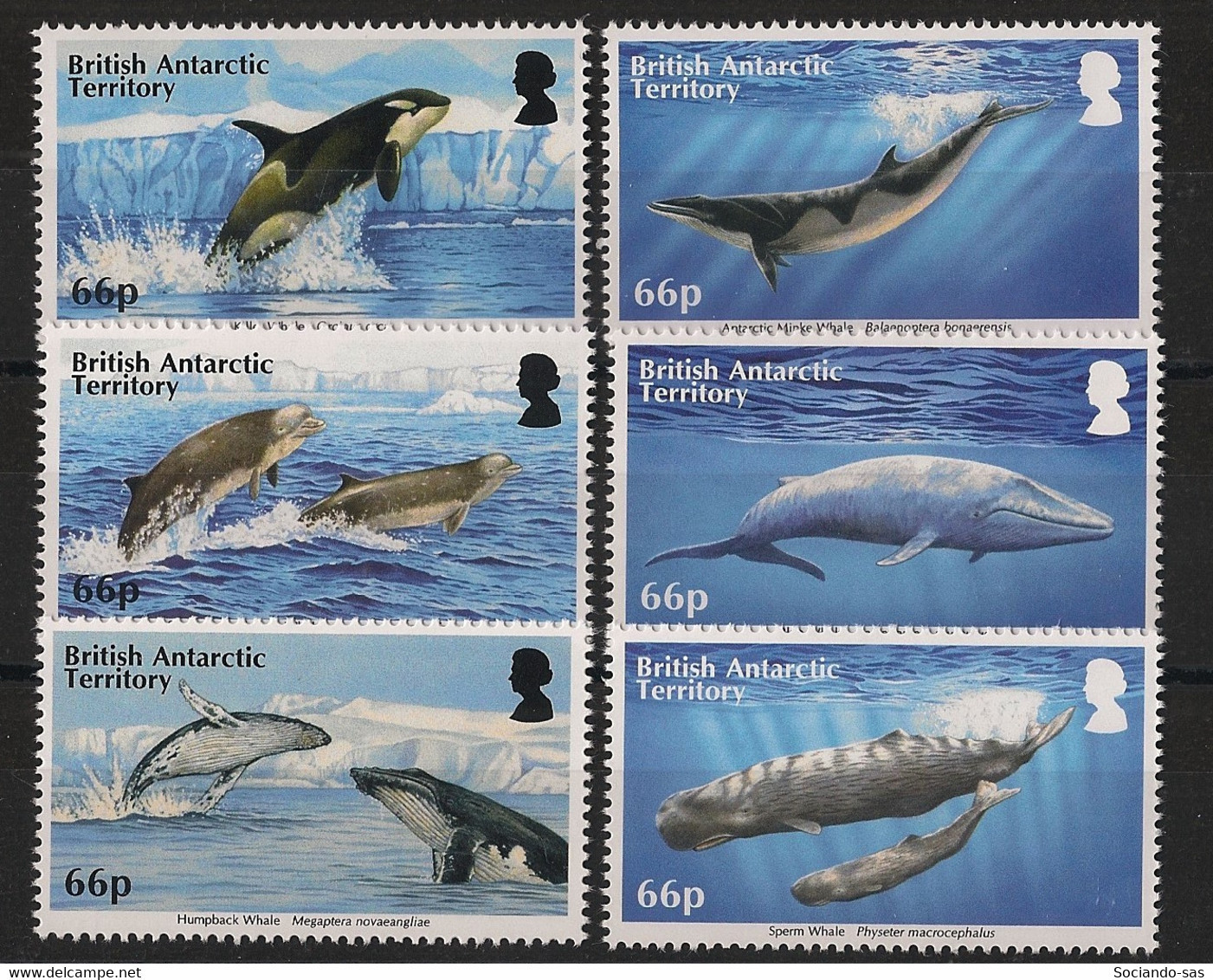 BAT - 2015 - N°YT. 660 à 665 - Mammifères Marins - Complete Set - Neuf Luxe ** / MNH / Postfrisch - Unused Stamps