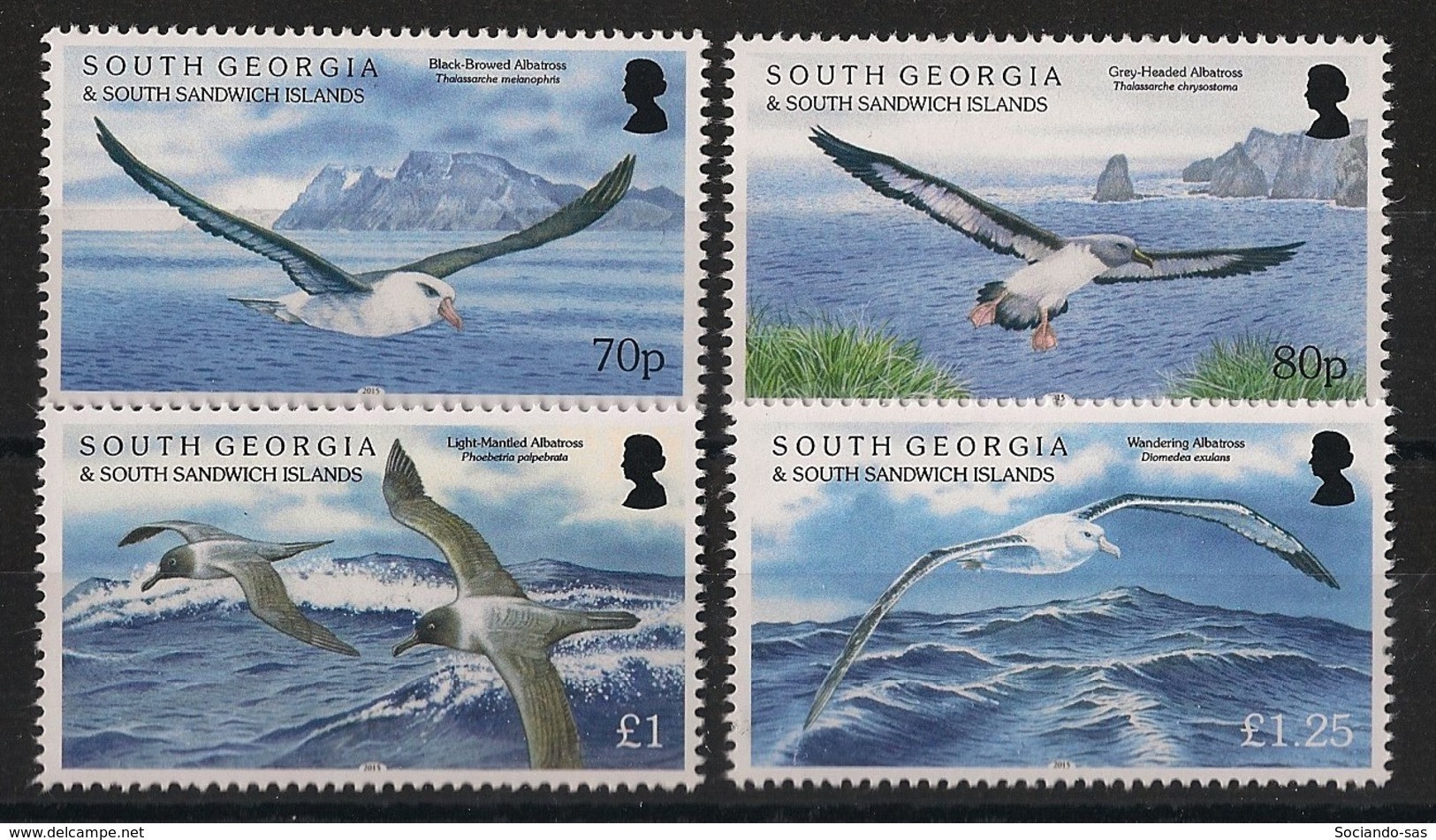 SOUTH GEORGIA - 2015 - N°YT. 634 à 637 - Albatros - Complete Set - Neuf Luxe ** / MNH / Postfrisch - Georgias Del Sur (Islas)