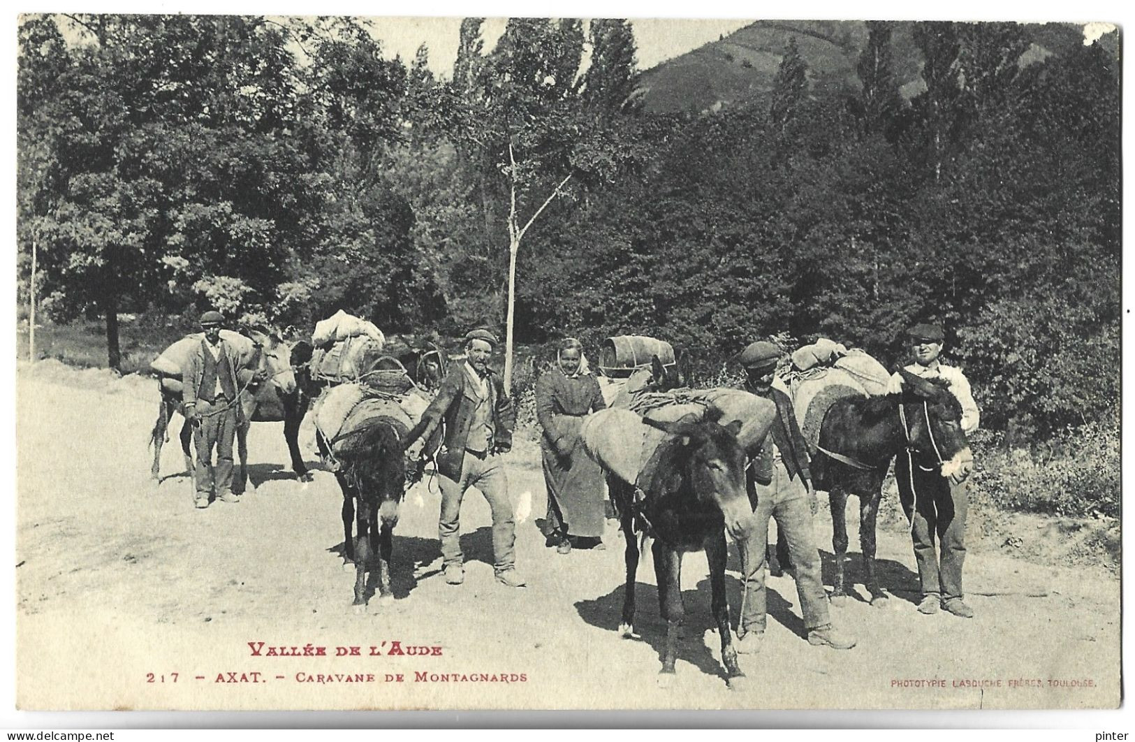 AXAT - Caravane De Montagnards - Ane - Axat