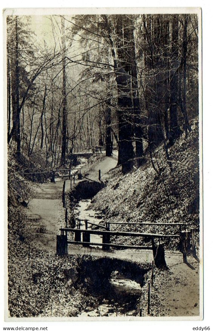 Ansichtskarte Pilnitz- Friedrichsgrund Um Das Jahr  1930  Gelaufen   Ortstempel Malschendorf - Pillnitz