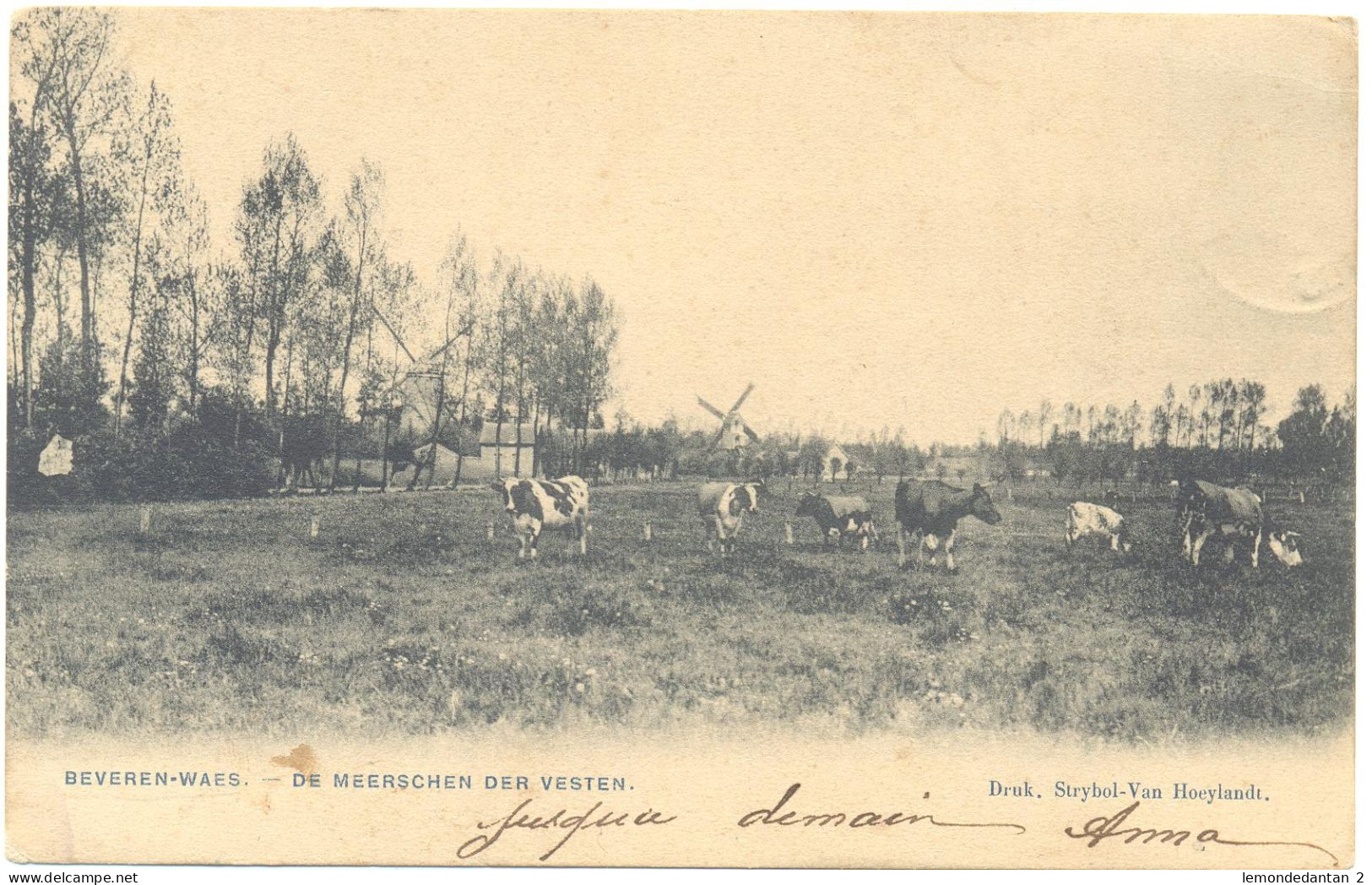 Beveren-Waes - De Meerschen Der Vesten - Edit Strybol-Van Hoeylandt  - Molen In Achtergrond - Beveren-Waas