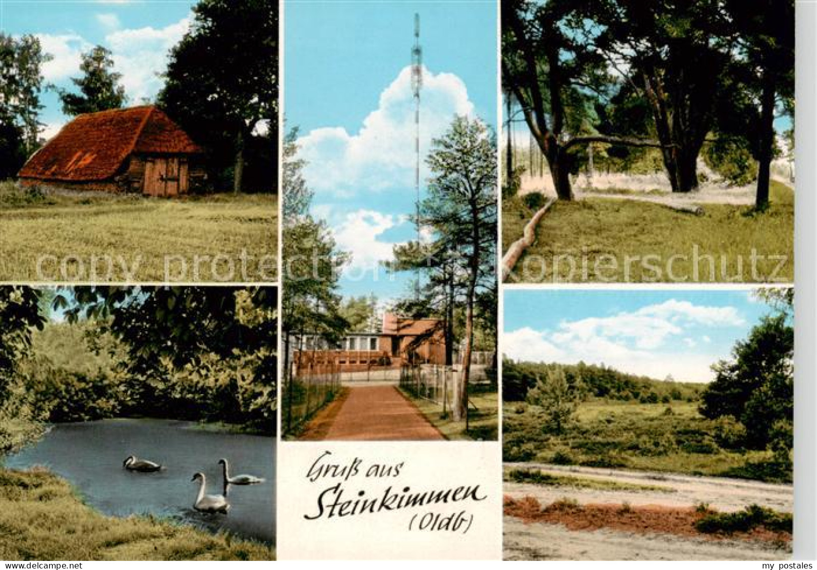 73864068 Steinkimmen Waldschaenke Am Fernsehturm Schwanenteich Park Steinkimmen - Ganderkesee