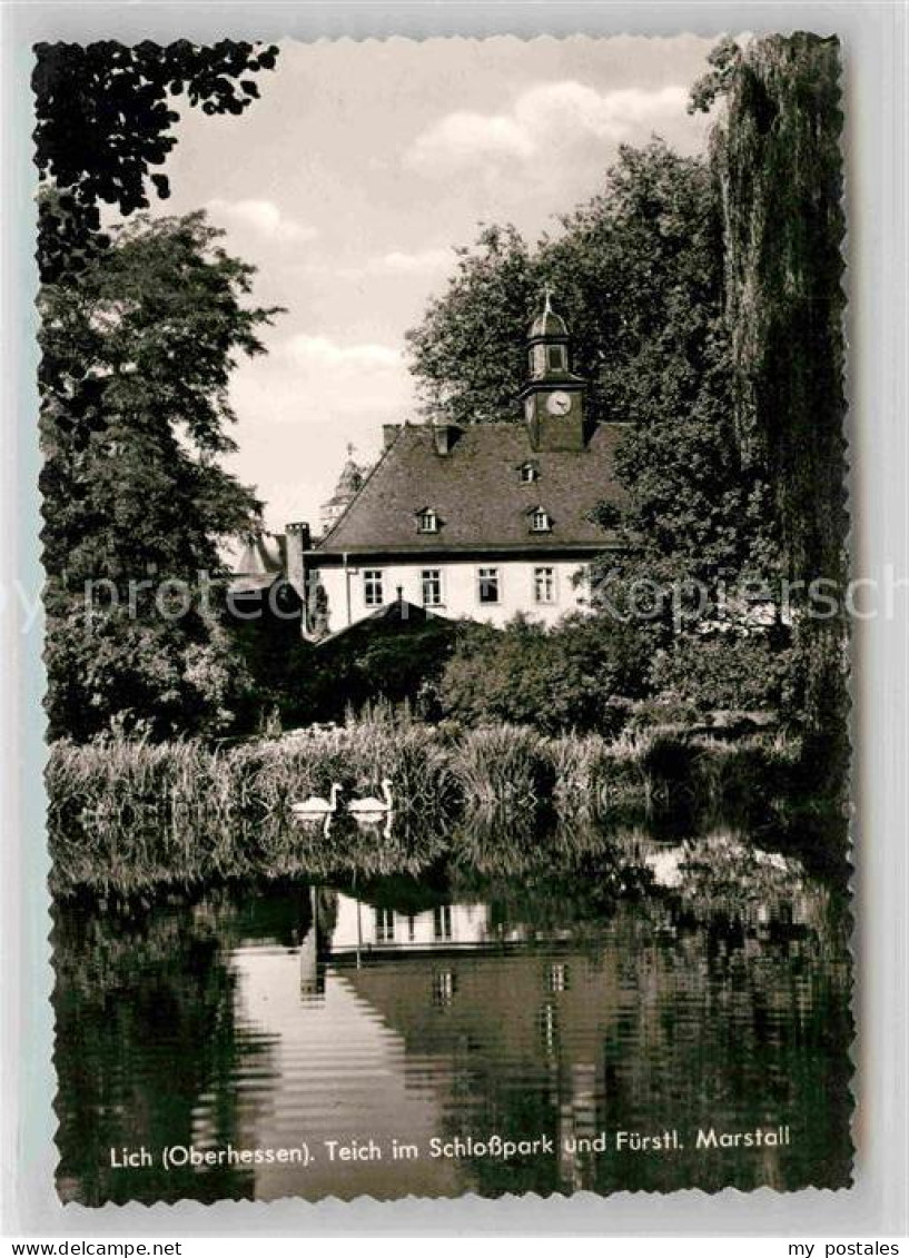 42774413 Lich Hessen Teich Im Schlosspark Und Fuerstl Marstall Lich - Lich