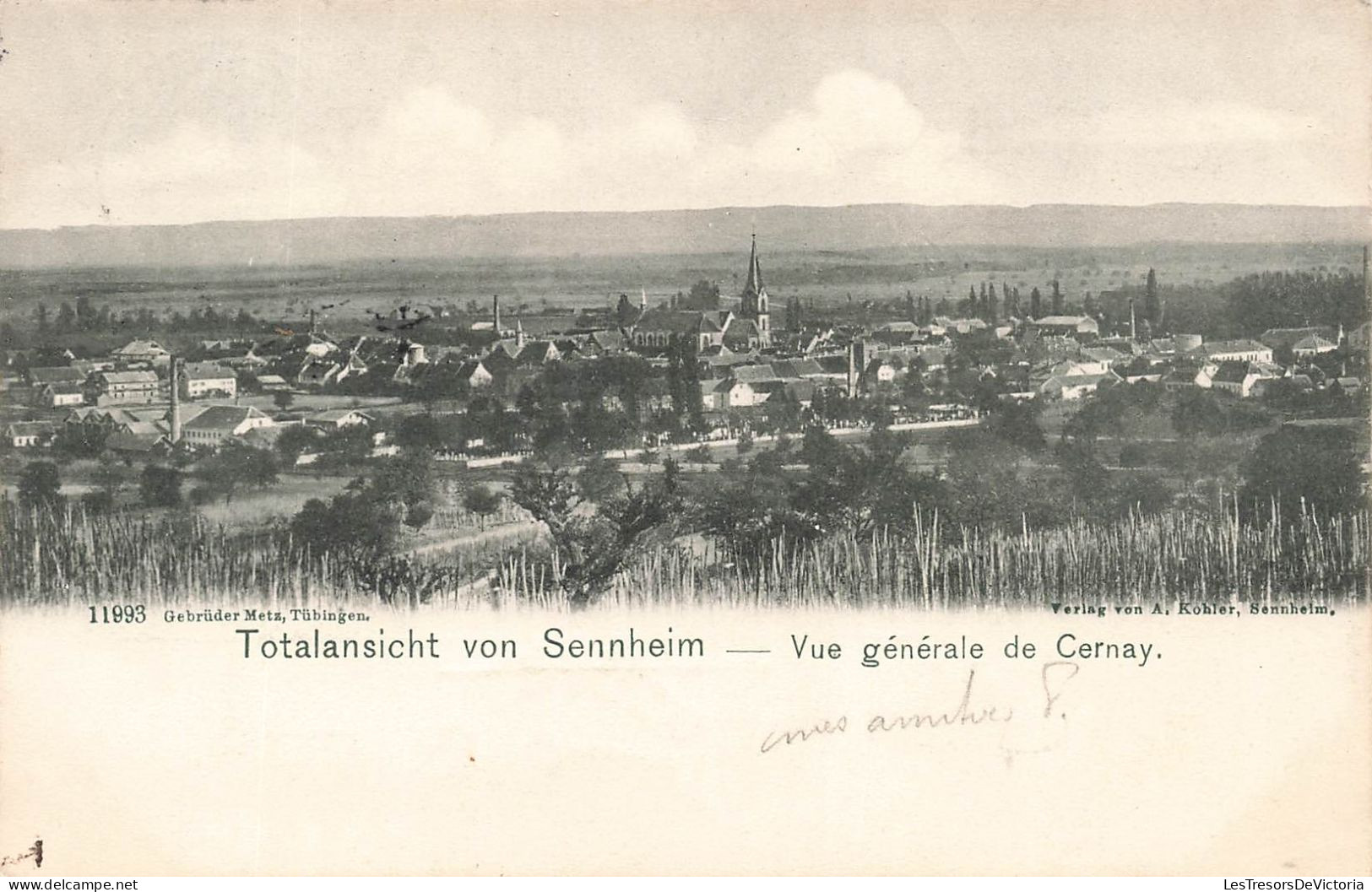 FRANCE - Gebrüder Metz, Tübingen - Vue Générale De Cernay - Totalansicht Von Sennheim - Carte Postale Ancienne - Cernay