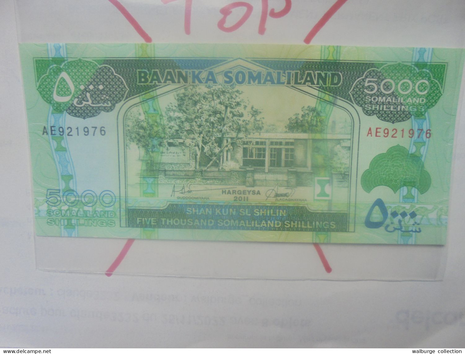 SOMALILAND 5000 SHILLINGS 2011 Neuf (B.31) - Somalië