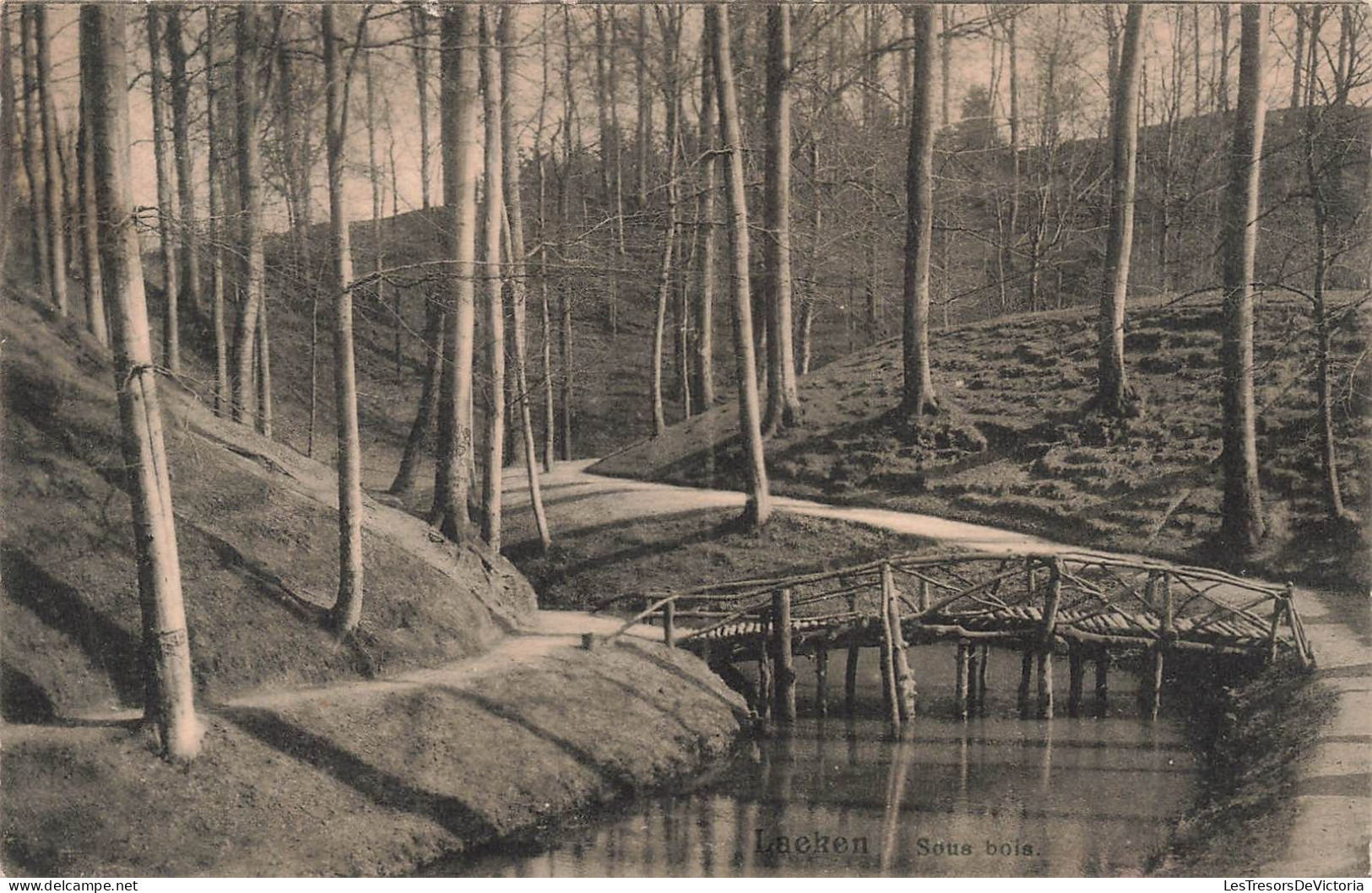 BELGIQUE - Bruxelles - Laeken - Sous Bois - Carte Postale Ancienne - Laeken