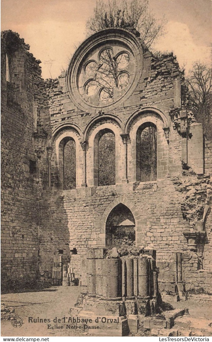 BELGIQUE - Florenville - Ruines De L'Abbaye D'Orval - Eglise Notre Dame D'Orval - Carte Postale Ancienne - Florenville