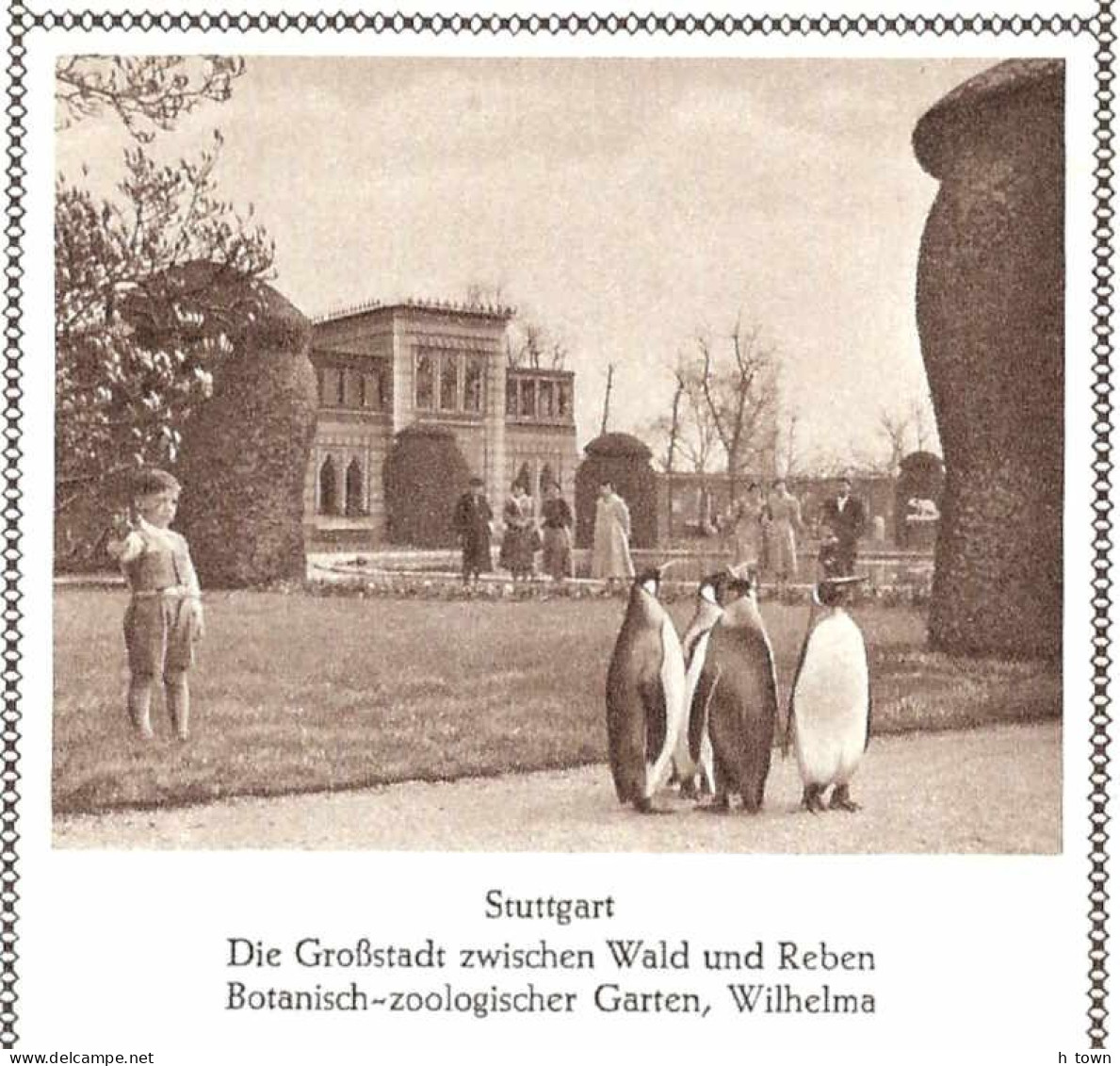 619  Zoo Stuttgart, Manchot Pingouin: Entier (c.p.) D'Allemagne, 1958 -  Penguin Stationery Postcard From Germany - Pingouins & Manchots