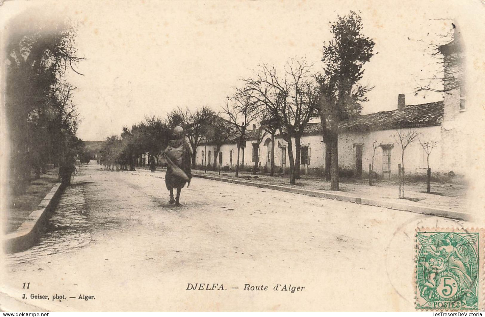 ALGÉRIE - Djelfa - Route D'Alger - Carte Postale Ancienne - Djelfa