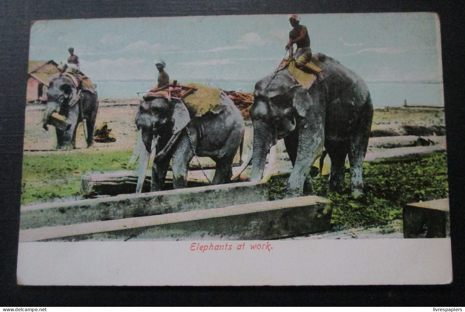 Birmanie Elephants At Work Cpa - Myanmar (Burma)