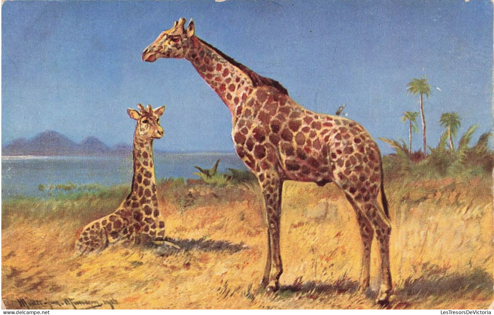 ARTS - Peintures Et Tableaux - Deux Girafes Dans La Savane - Carte Postale Ancienne - Paintings