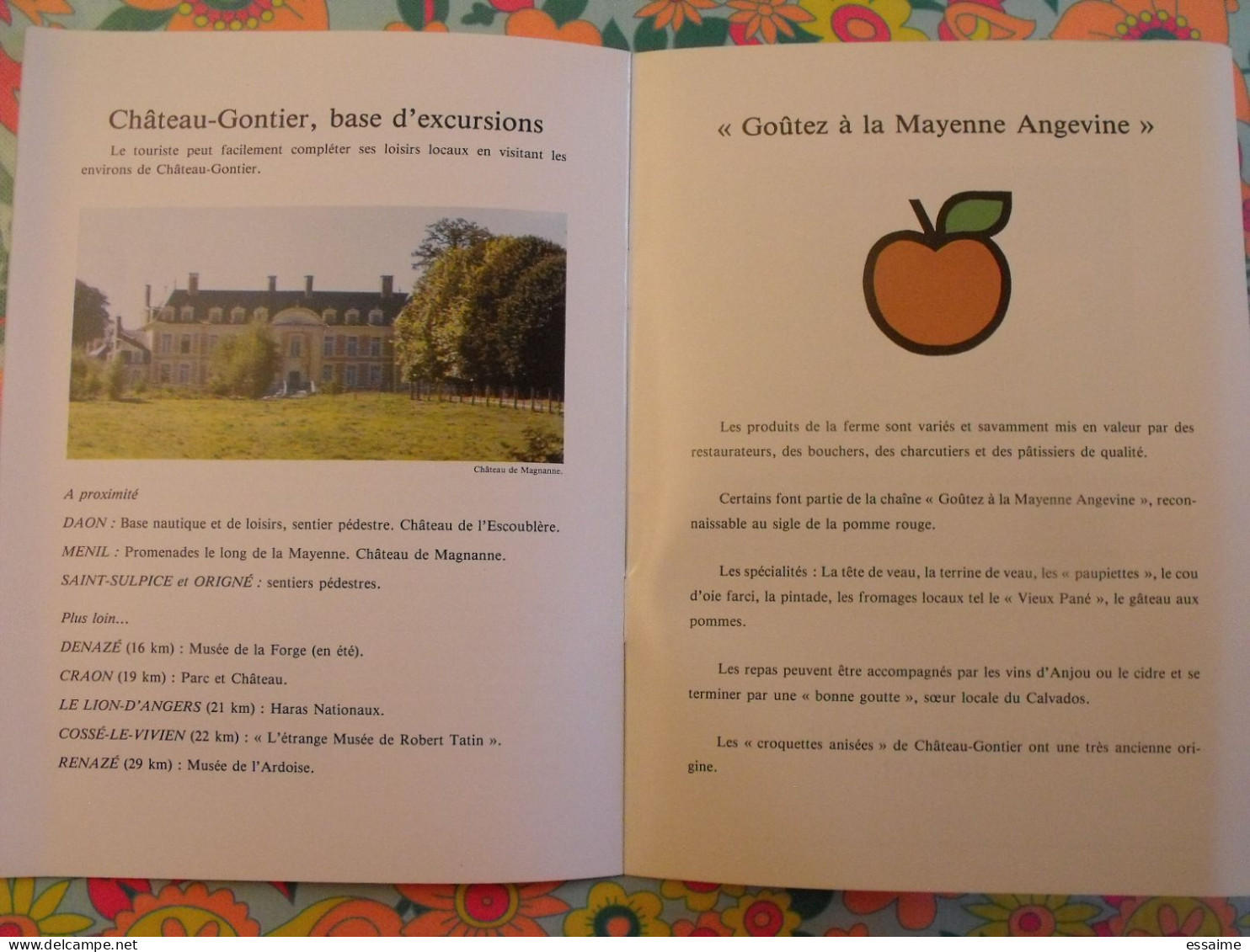 Livret Bienvenue à Chateau-Gontier. 53 Mayenne. - Tourismus Und Gegenden