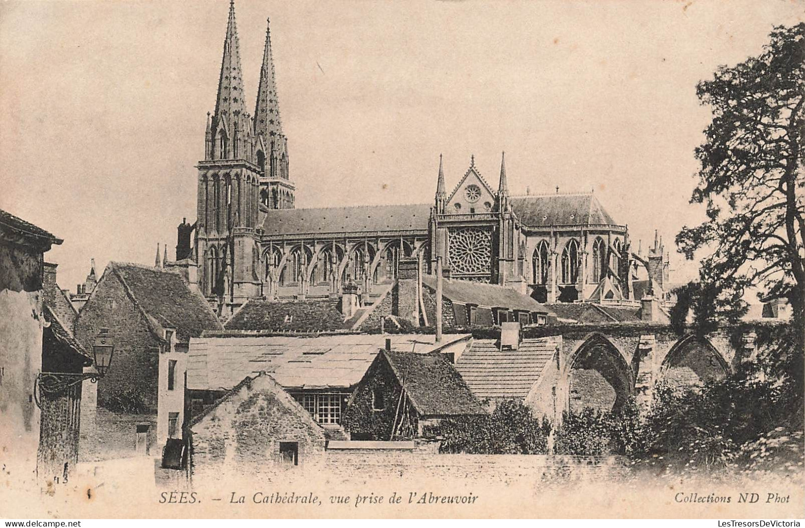 FRANCE - Sees - La Cathédrale - Vue Prise De L'Abreuvoir - Carte Postale Ancienne - Sees