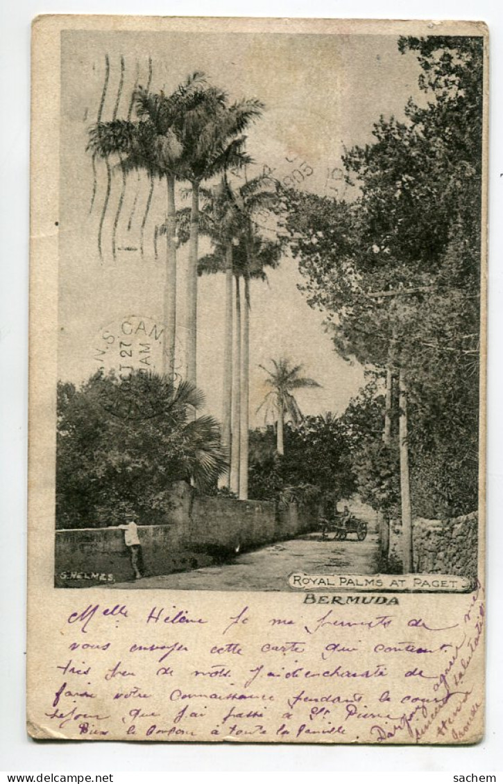 BERMUDES Bermuda Royal Palms At PAGET  écrite En 1905    D10 2021 - Bermudes