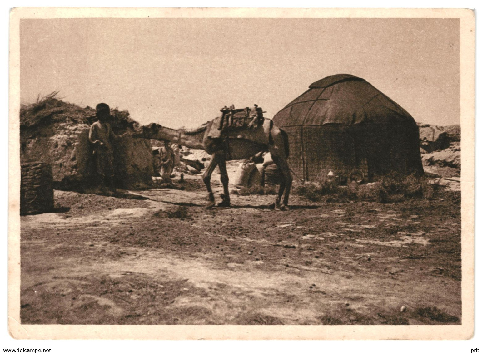 Ashgabat, Turkmen Tent In The Village, Camel, Soviet Turkmenistan USSR 1920-30s Unused Postcard. Publisher IZOGIZ Moscow - Turkmenistán