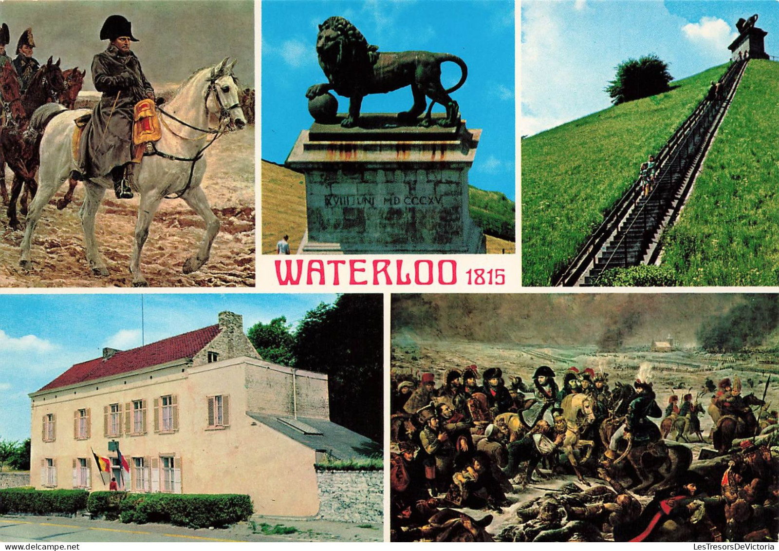 BELGIQUE - Waterloo - Multivues - Colorisé - Carte Postale - Waterloo
