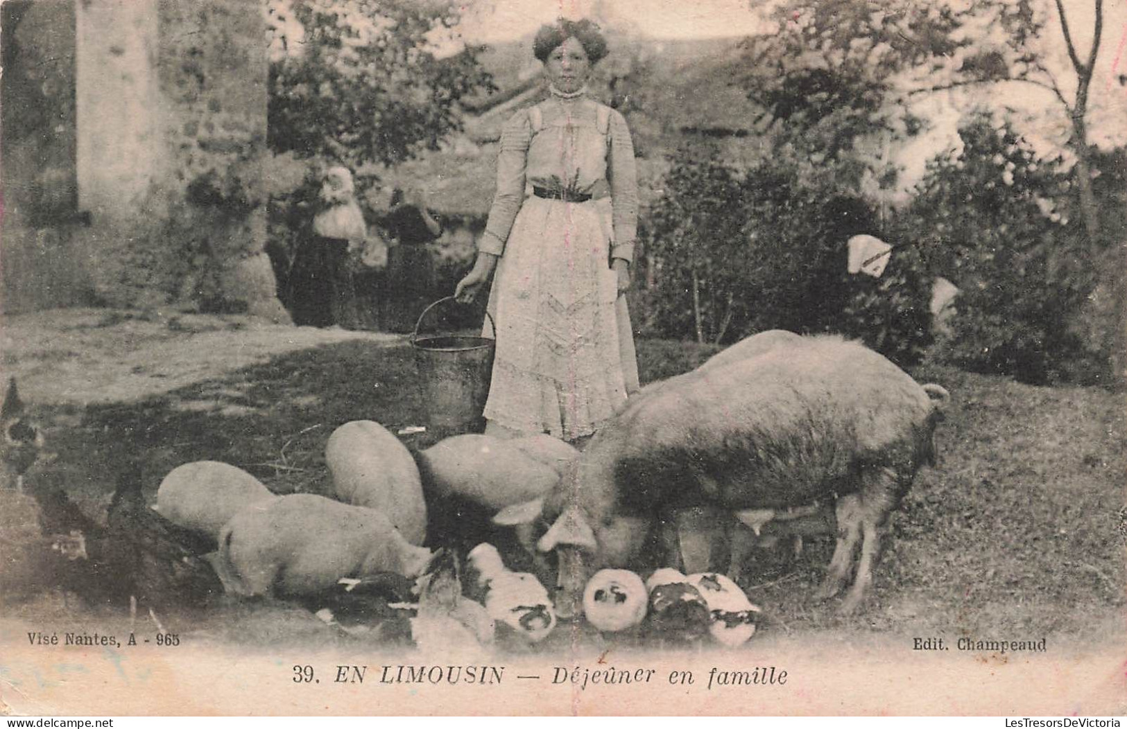 FRANCE - Limousin - Déjeuner En Famille - Carte Postale Ancienne - Limousin