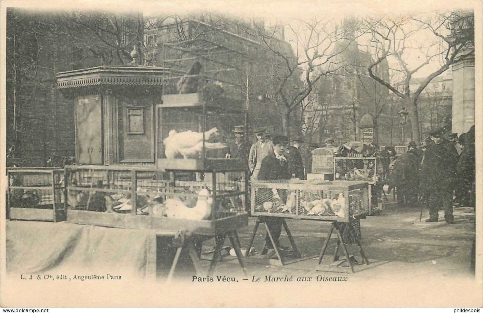 PARIS PARIS VECU   Le Marche Aux Oiseaux - Lotes Y Colecciones