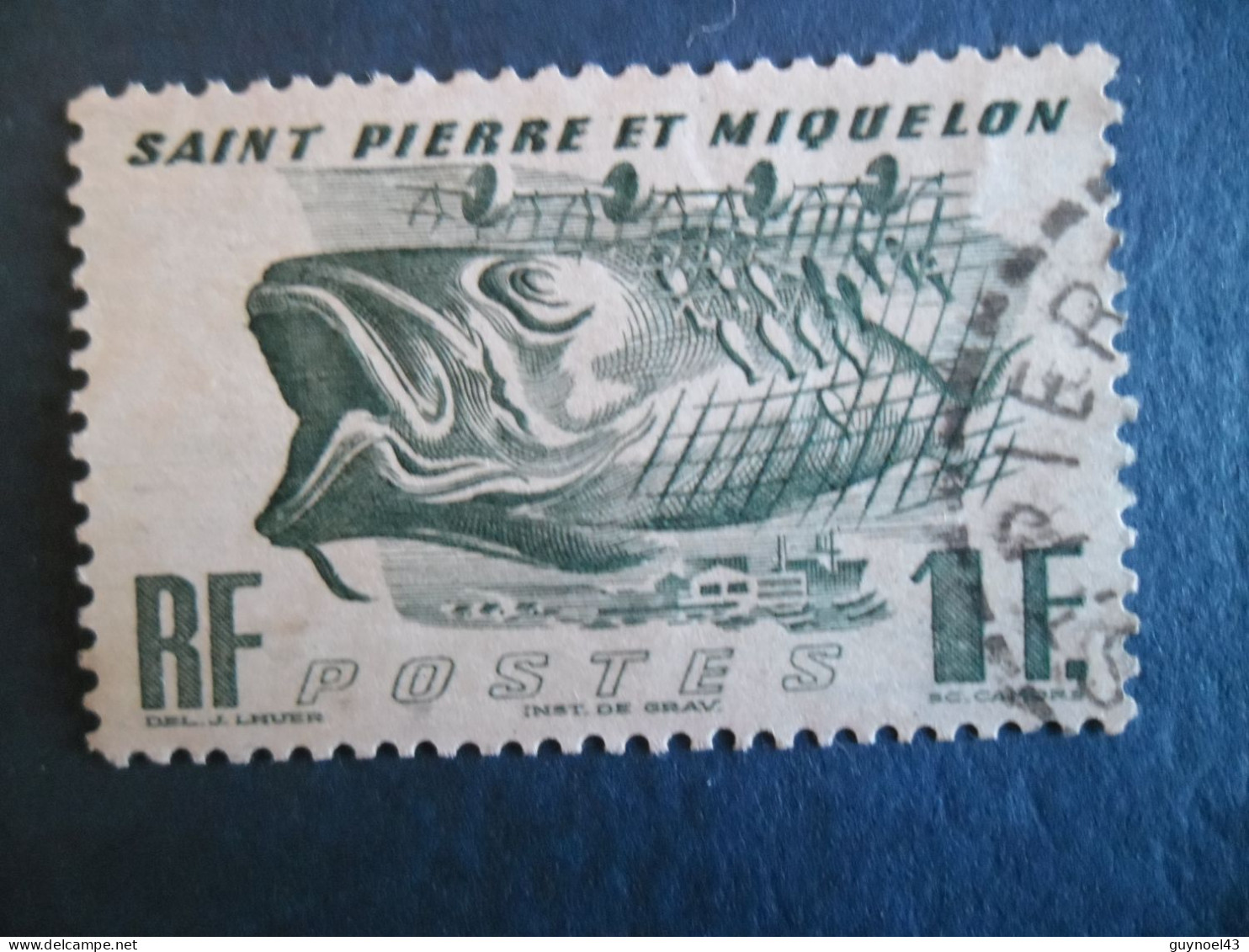 SPM 1947 Y/T 331 " Morue " Oblitéré Cote 1€25 - Gebraucht