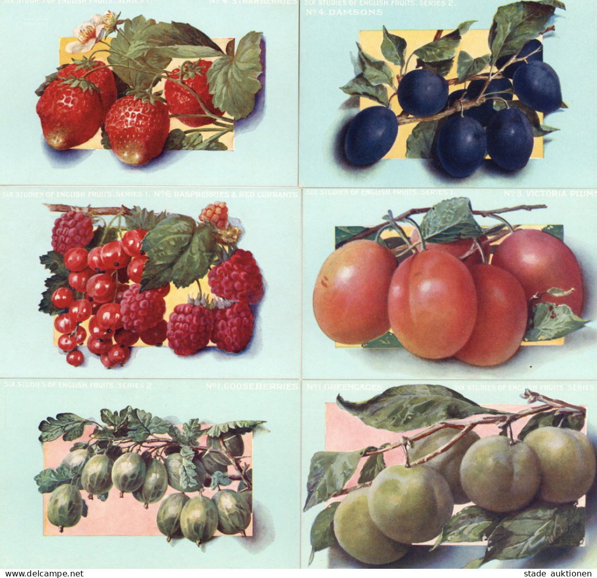 Englische Früchte Lot Mit 10 Ansichtskarten I-II - Other & Unclassified