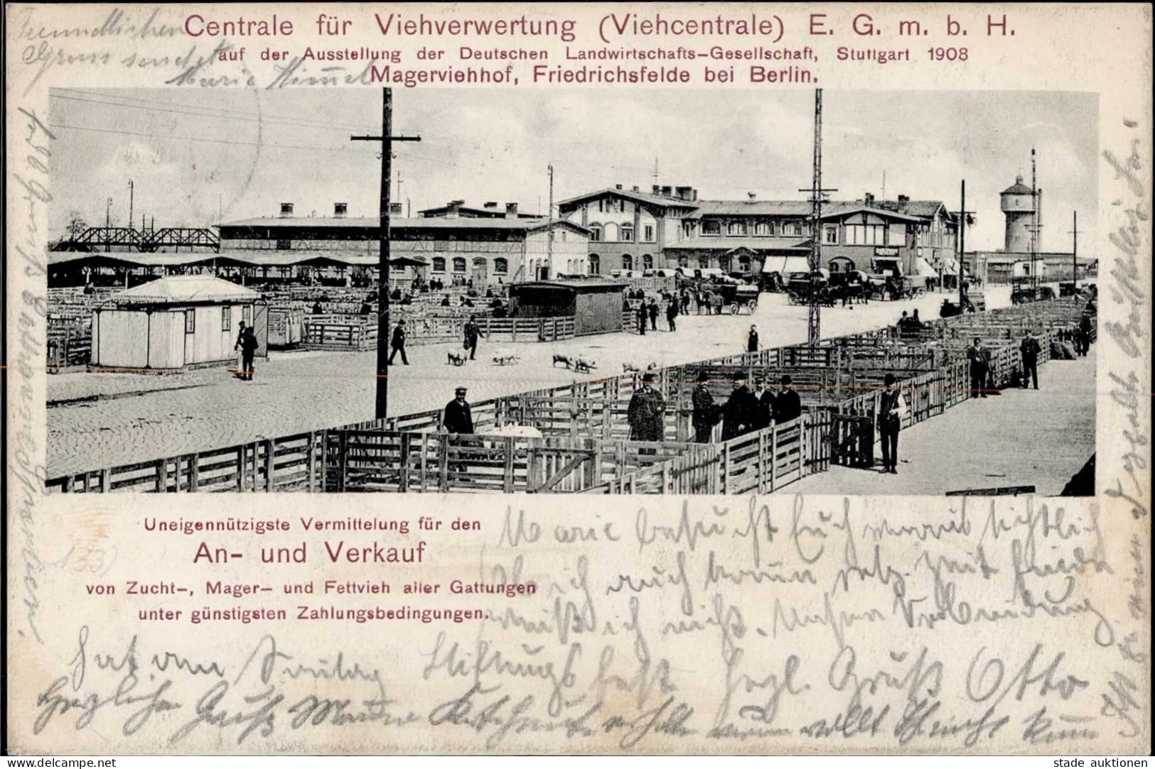 Landwirtschaft - STUTTGART AUSSTELLUNG D. DEUTSCHEN LANDWIRTSCHAFTS-GESELLSCHAFT 1908 Mit S-o V. CANNSTATT - Centrale Fü - Sonstige & Ohne Zuordnung