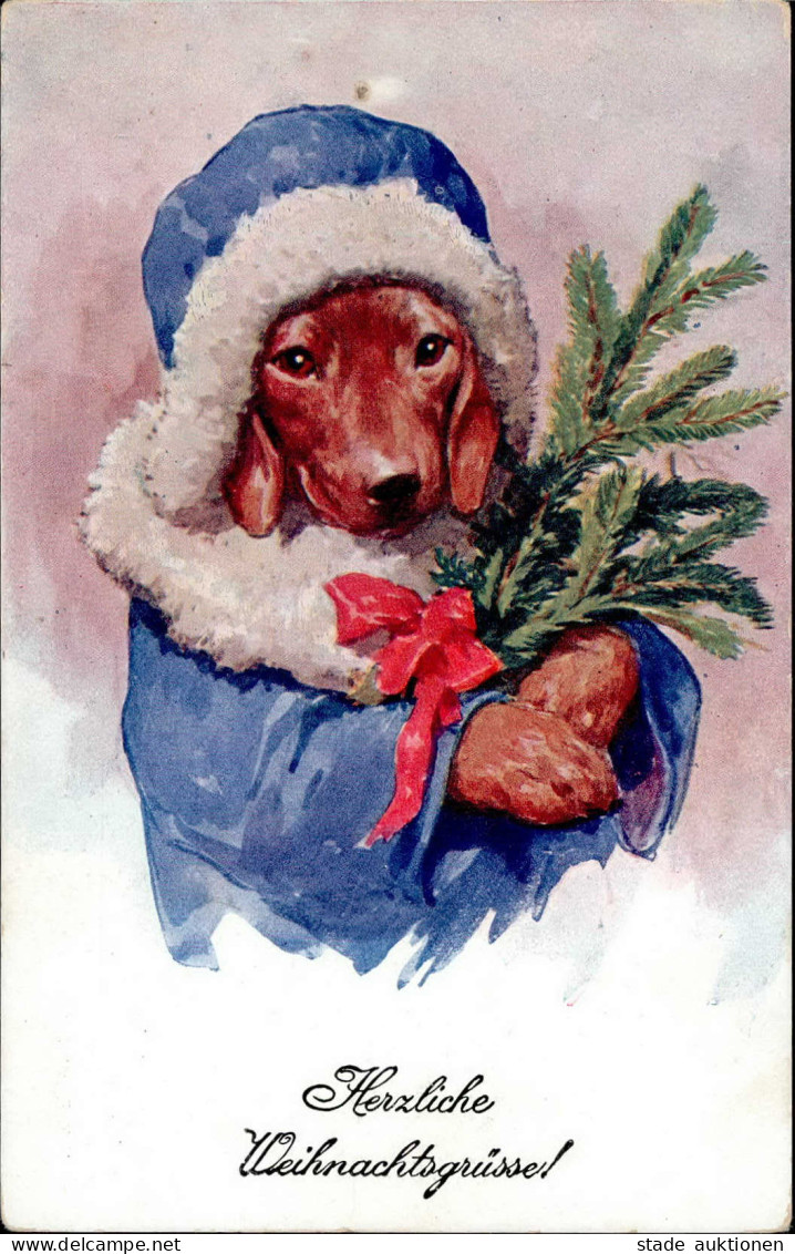 Dackel Weihnachten I-II (Ecken Leicht Abgestossen) Noel - Hunde