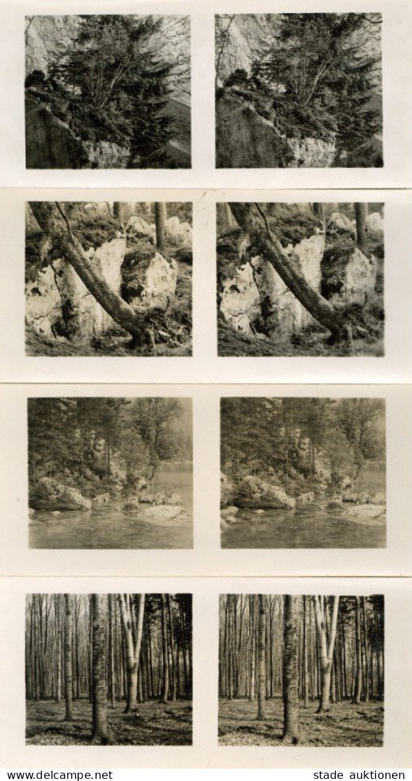 Raumbilder Aus Der Lebensgemeinschaft Des Waldes Serie Mit 150 Bildern I-II - Guerre 1939-45