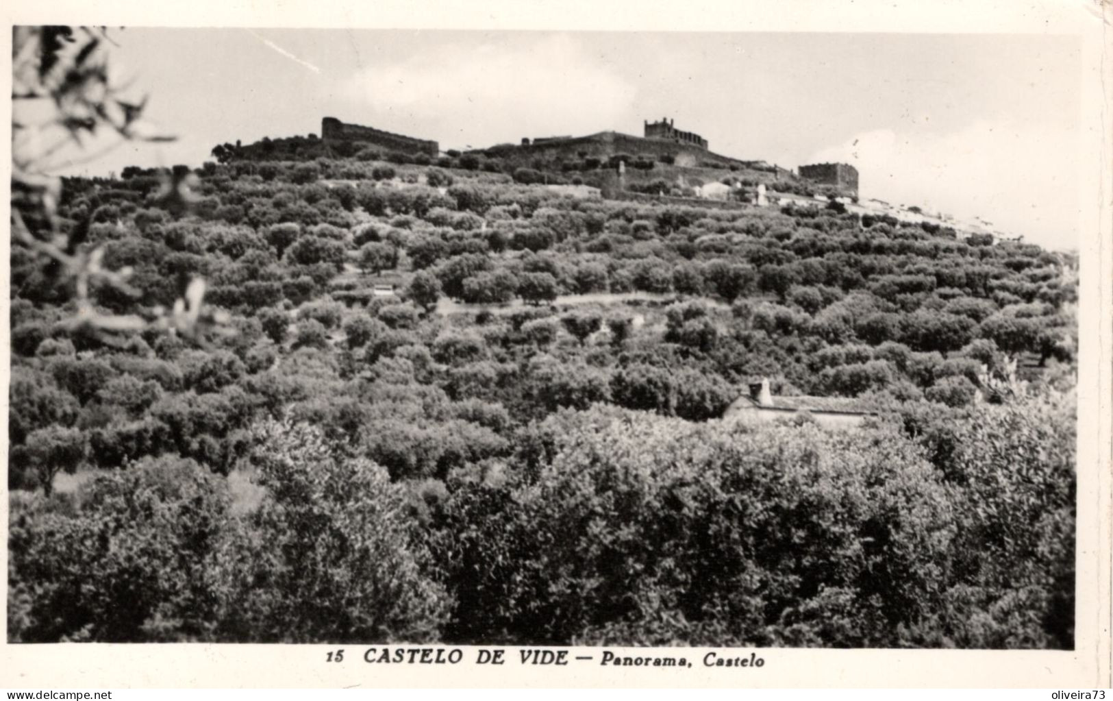 CASTELO DE VIDE - Panorama . Castelo - PORTUGAL - Portalegre