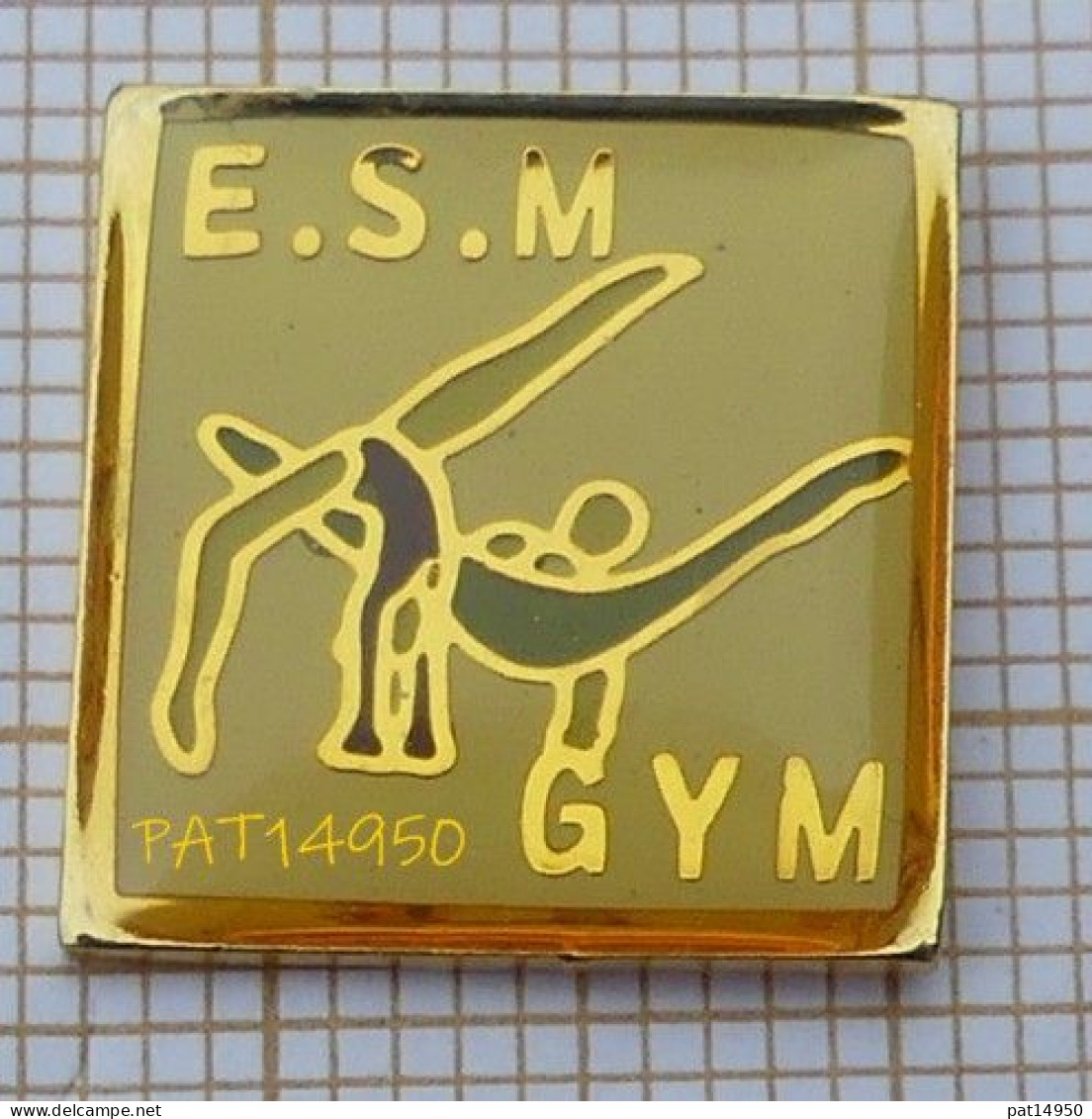 PAT14950 GYMNASTIQUE   ESM GYM   ETOILE SPORTIVE DU MARAIS à  CHALLANS En VENDEE Dpt 85 - Gymnastik