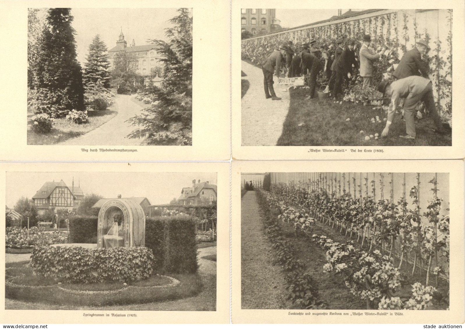 Berlin Dahlem (1000) 14 AK Der Lehr-  Und Forschungsanstalt Für Gartenbau 1903-1928 I-II - Ploetzensee